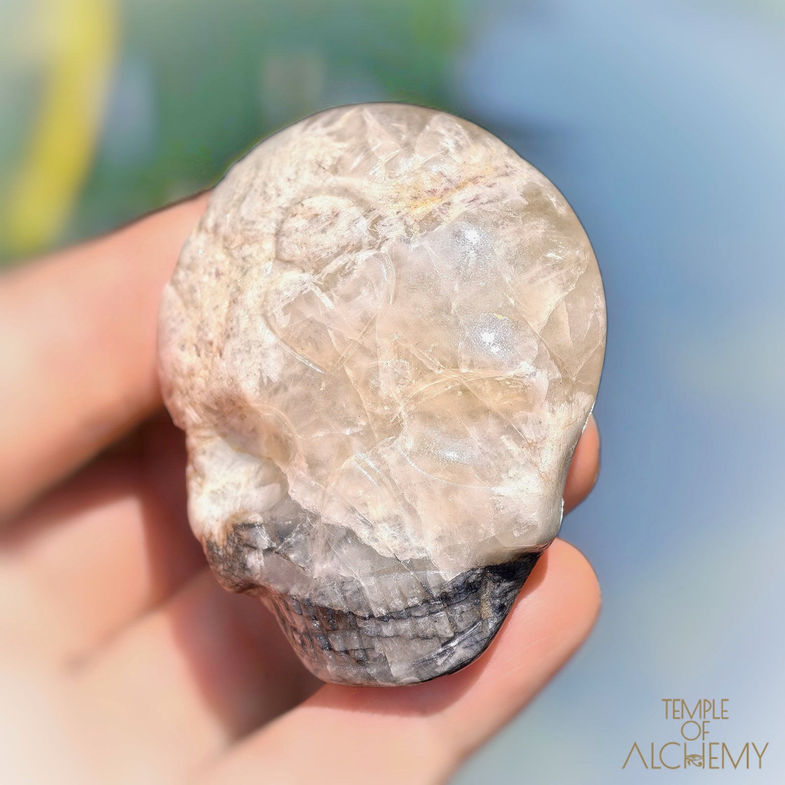 Lodolite x Columbite in Clear Quartz