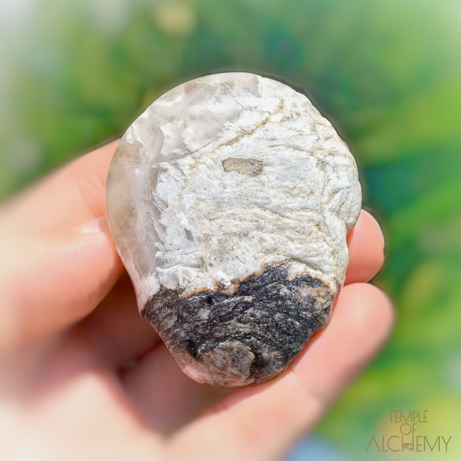 Lodolite x Columbite in Clear Quartz