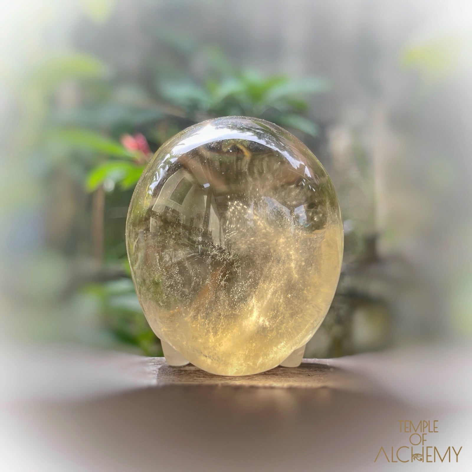 ๐น๐๐น Citrine