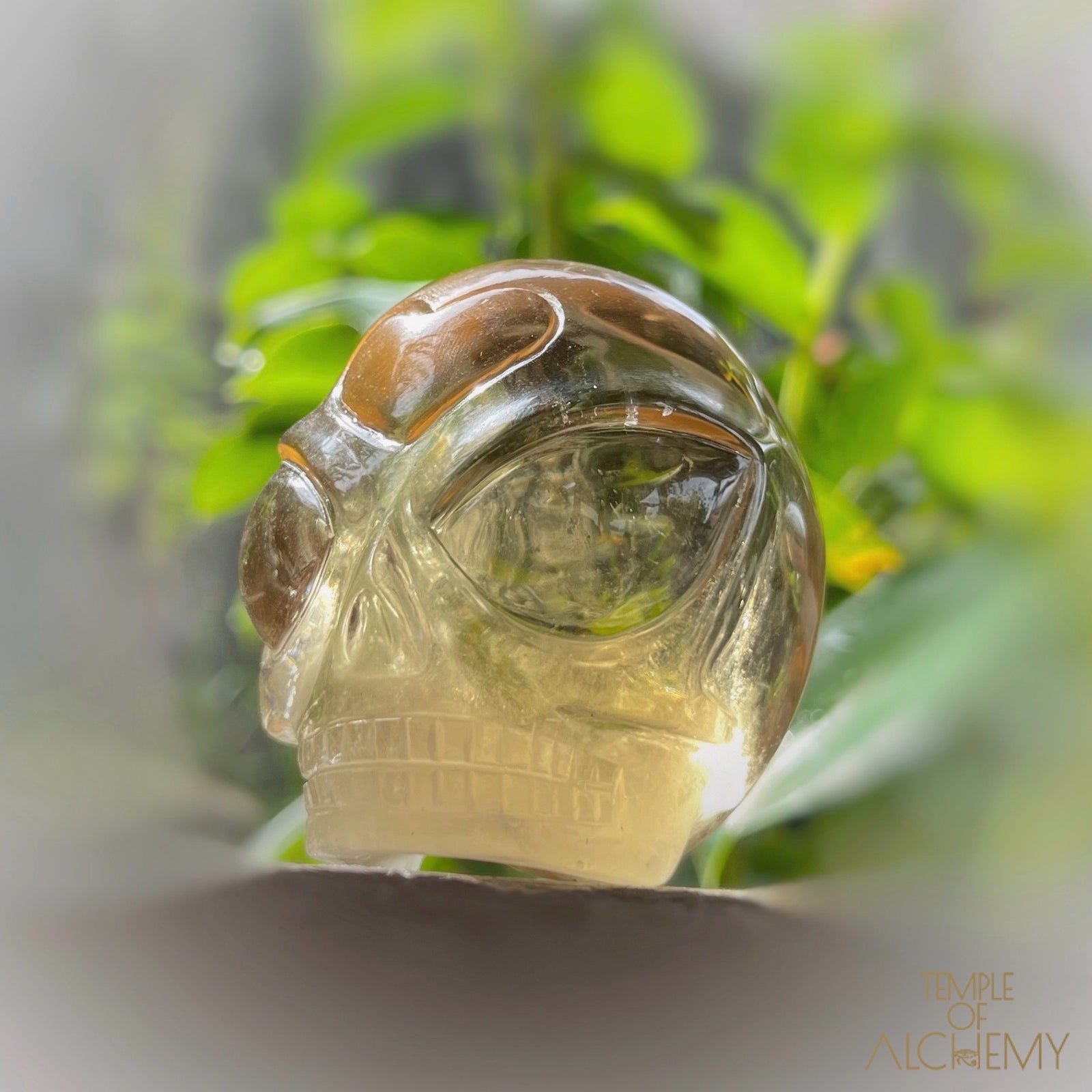 ๐น๐๐น Citrine