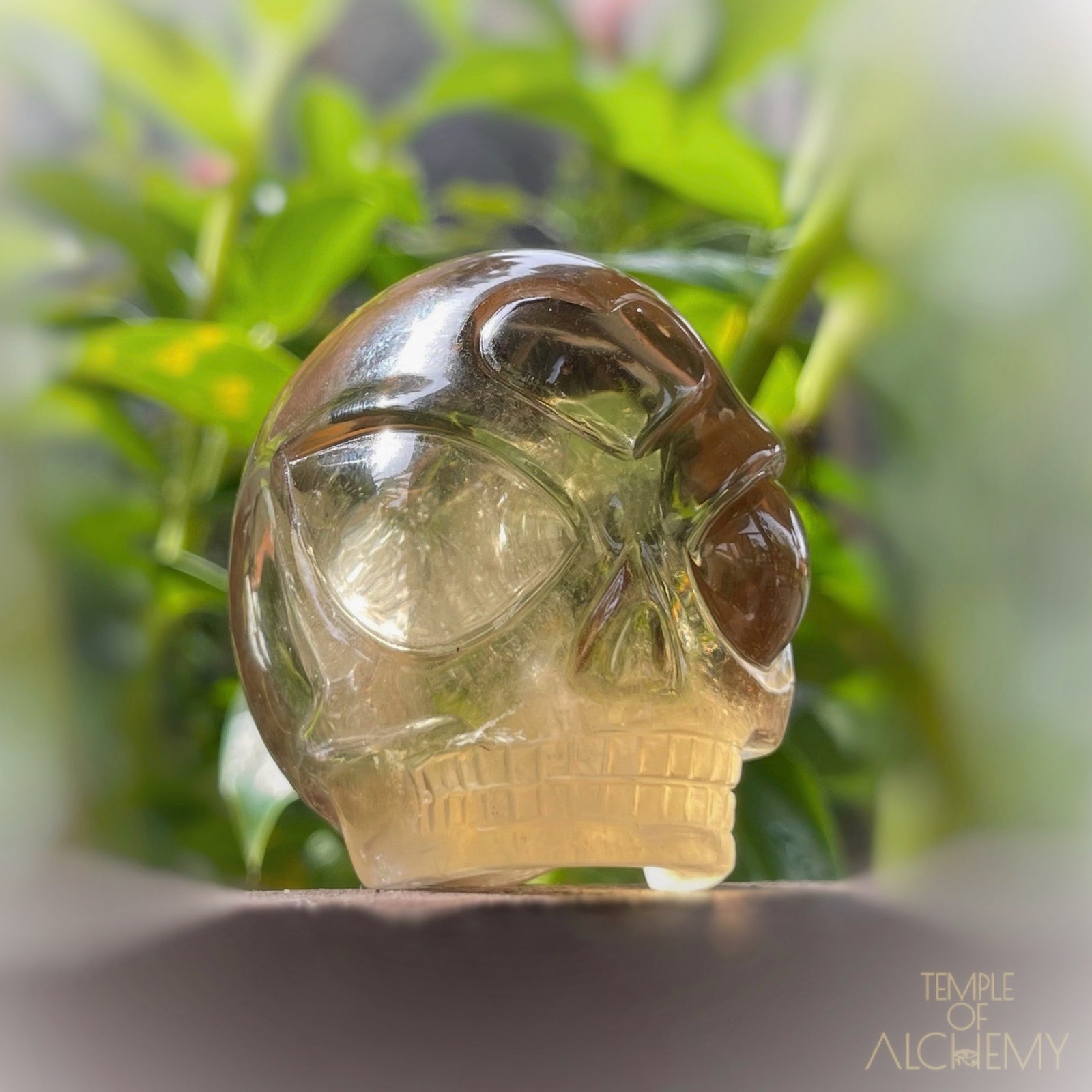 ๐น๐๐น Citrine