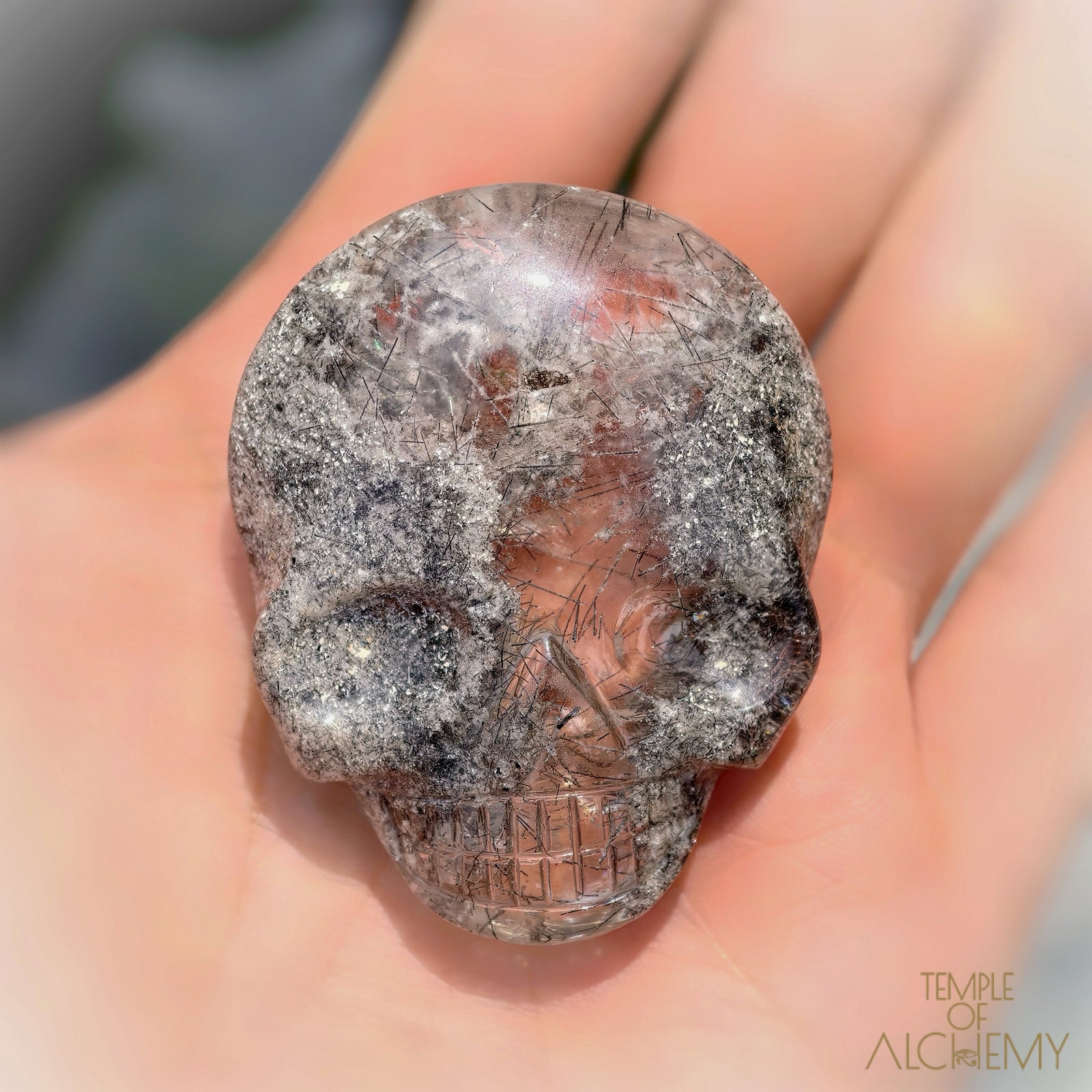 Lodolite x Black Tourmaline