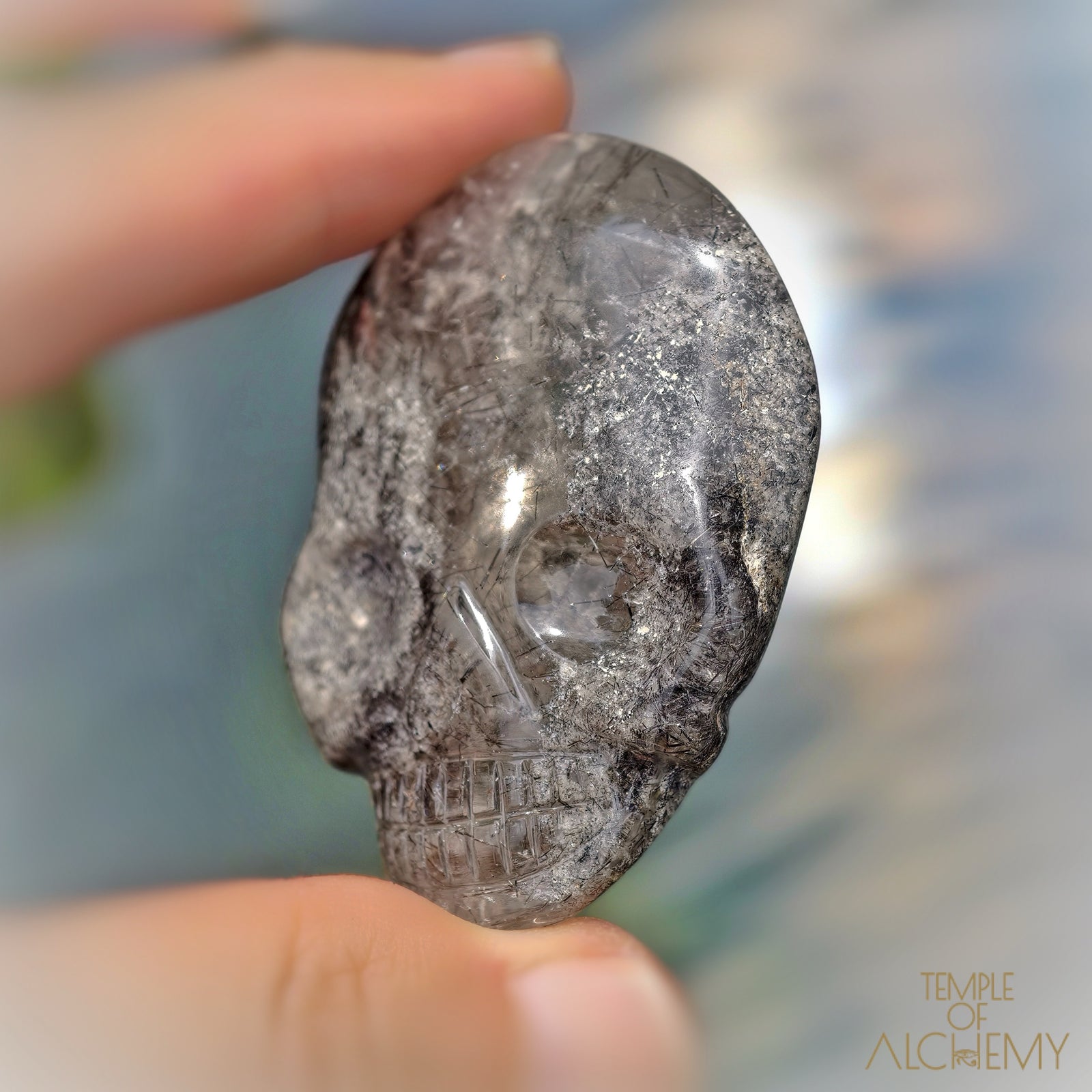Lodolite x Black Tourmaline