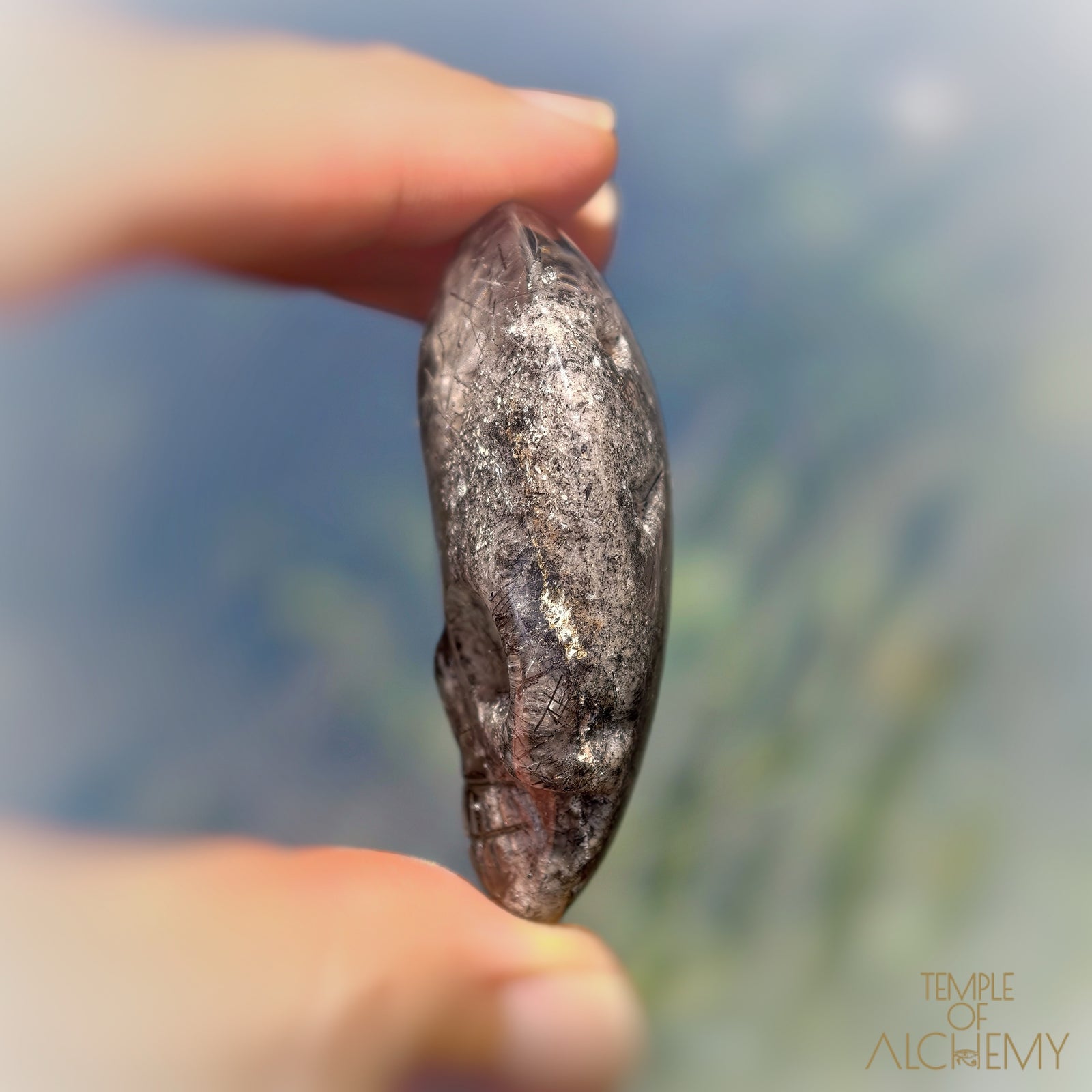 Lodolite x Black Tourmaline