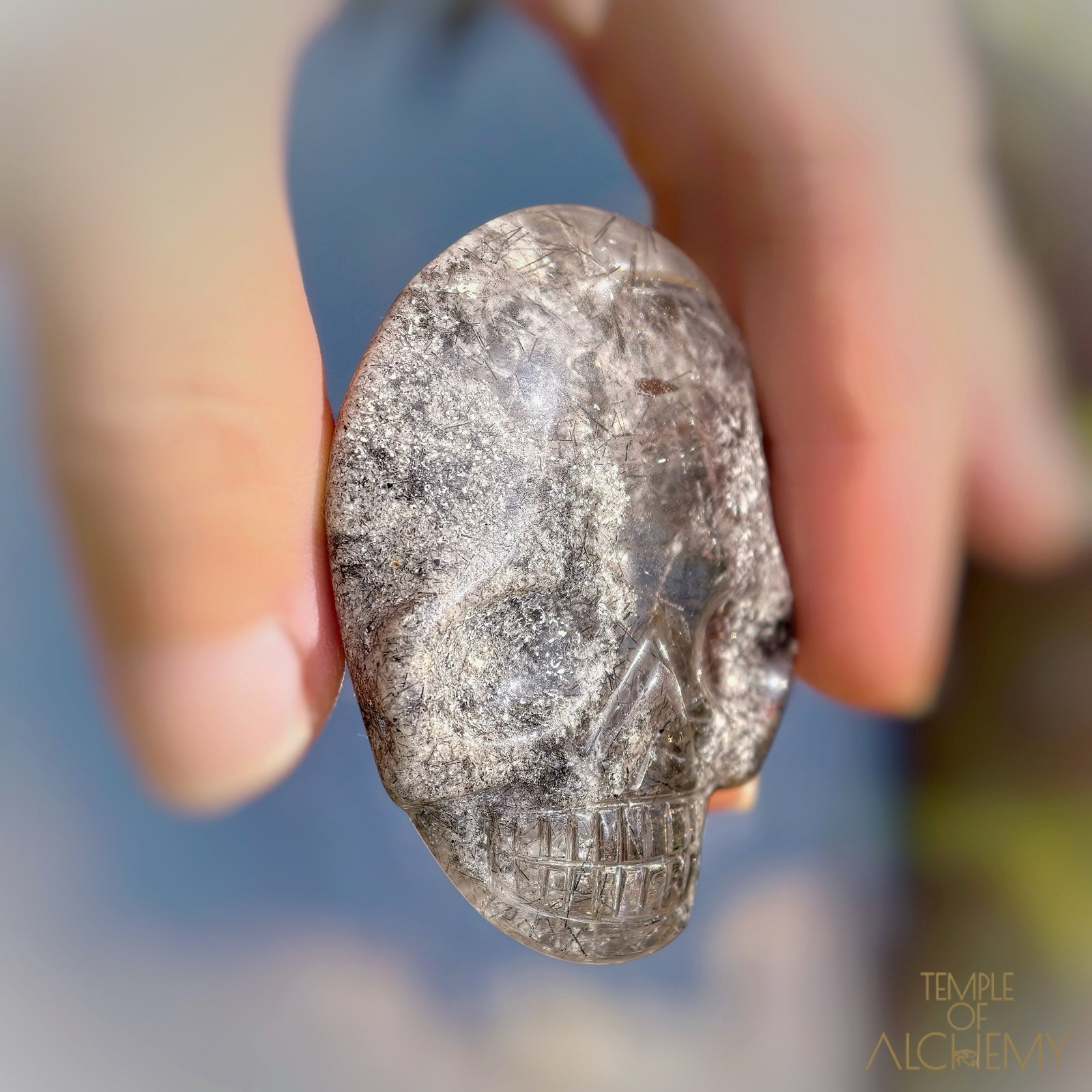 Lodolite x Black Tourmaline