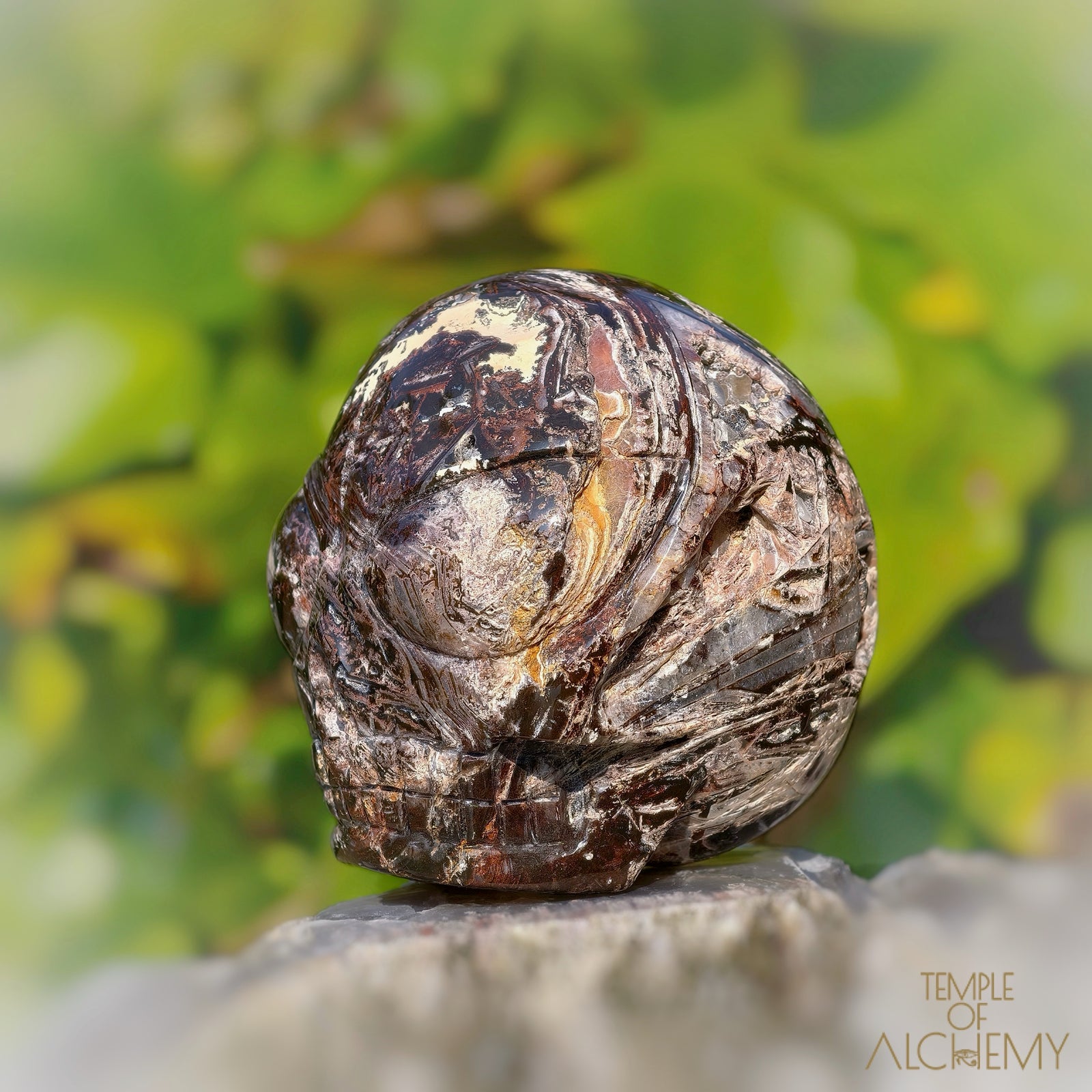 Fascia Jasper