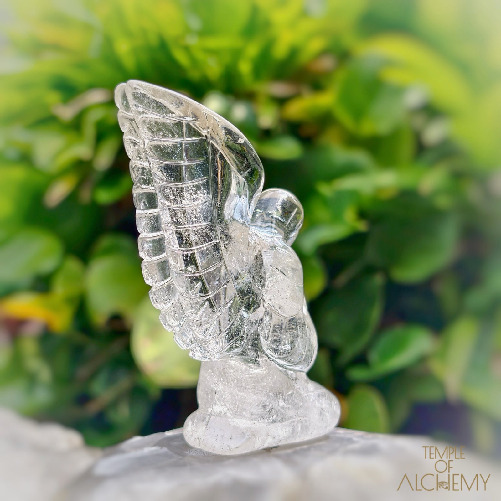 Lemurian ๐ Keeper of the Ancient Light