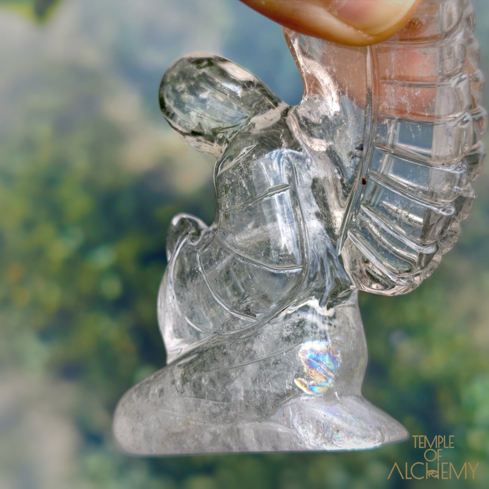 Lemurian ๐ Keeper of the Ancient Light