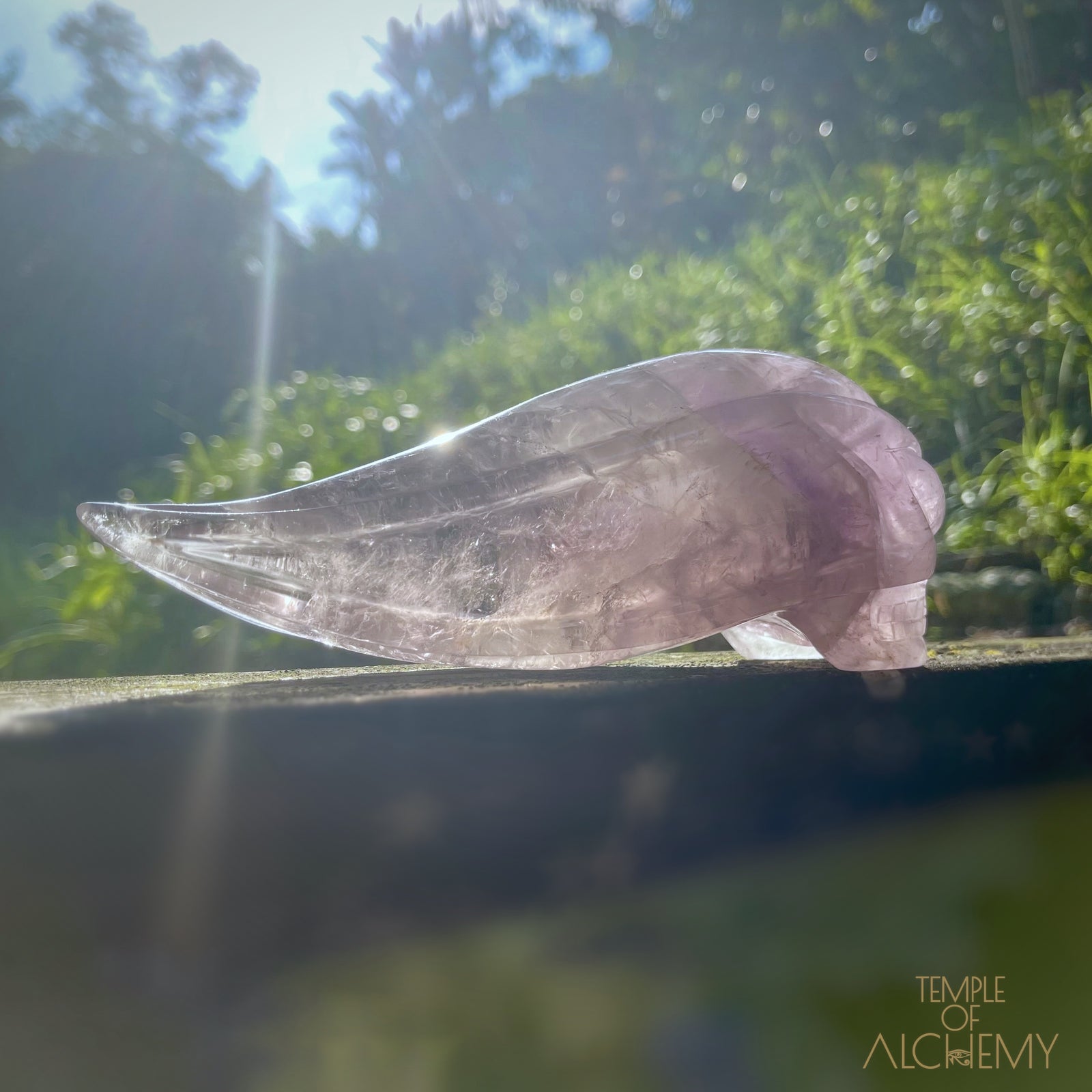 Phantom Amethyst