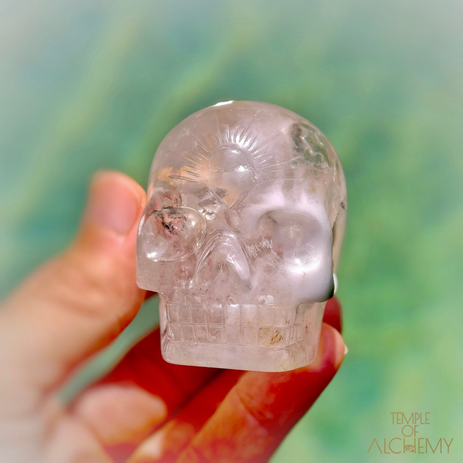 Amphibole Quartz