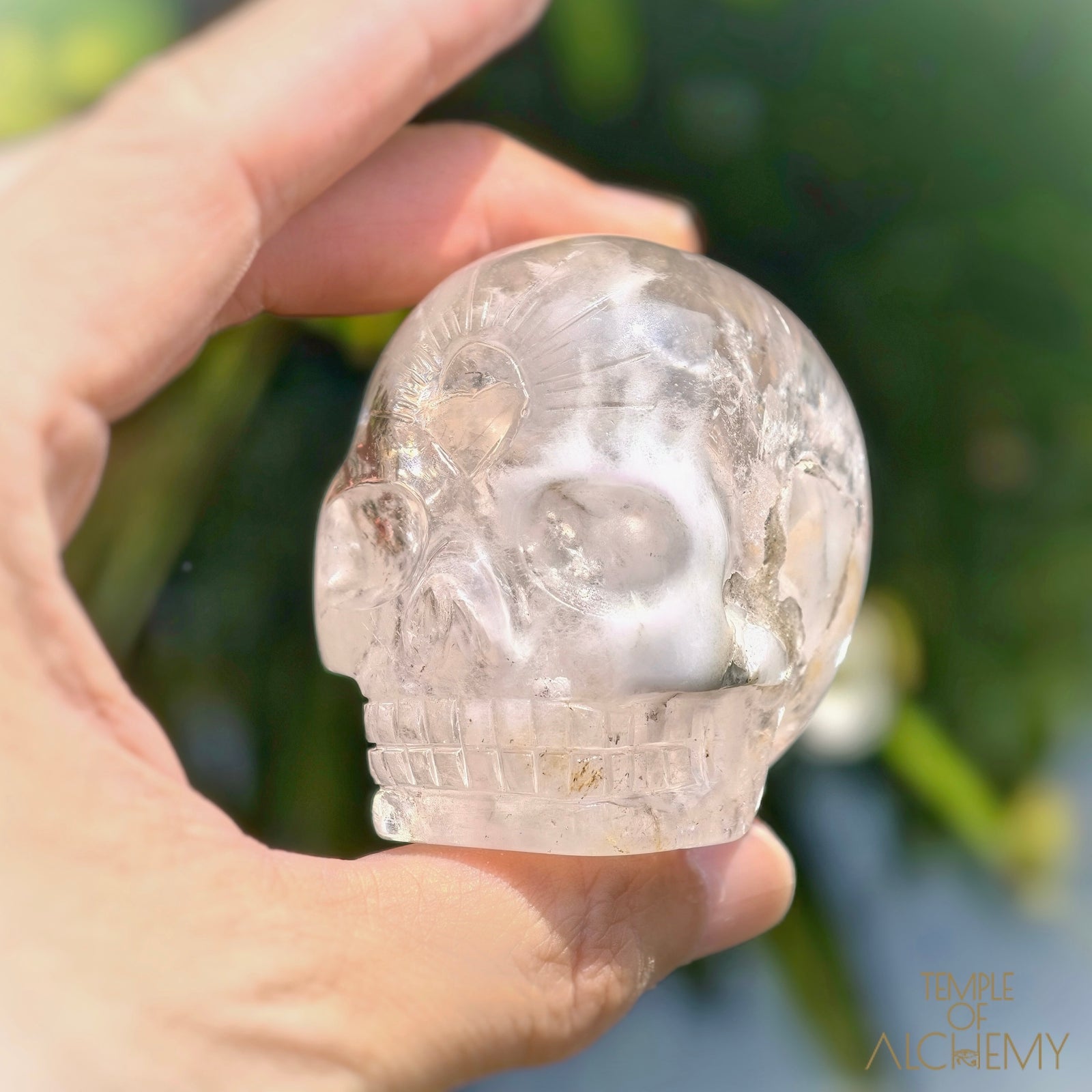 Amphibole Quartz