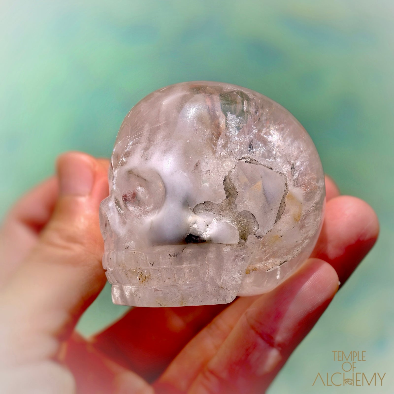 Amphibole Quartz