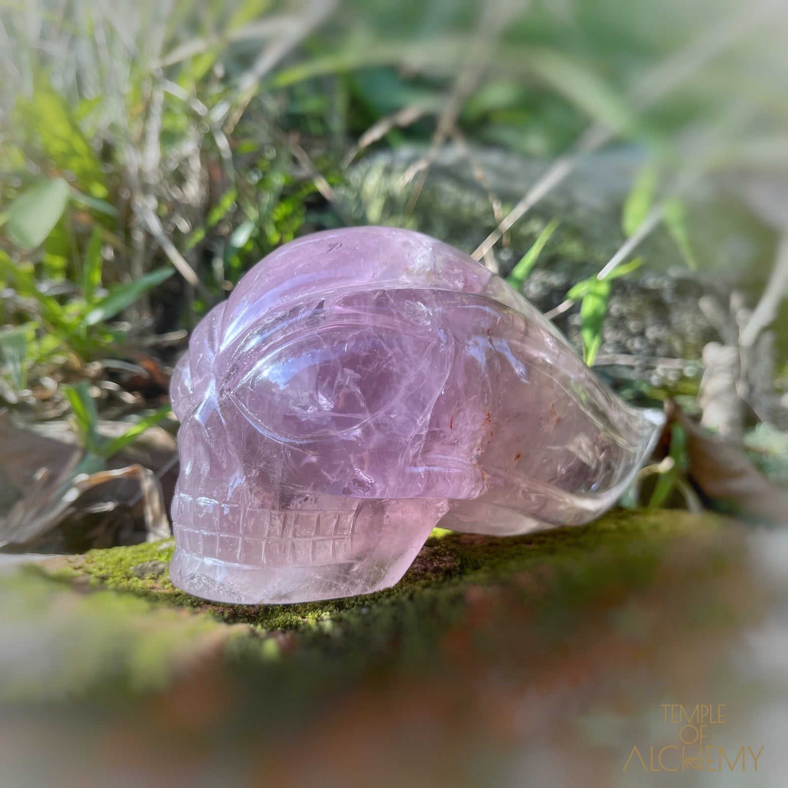 Phantom Amethyst