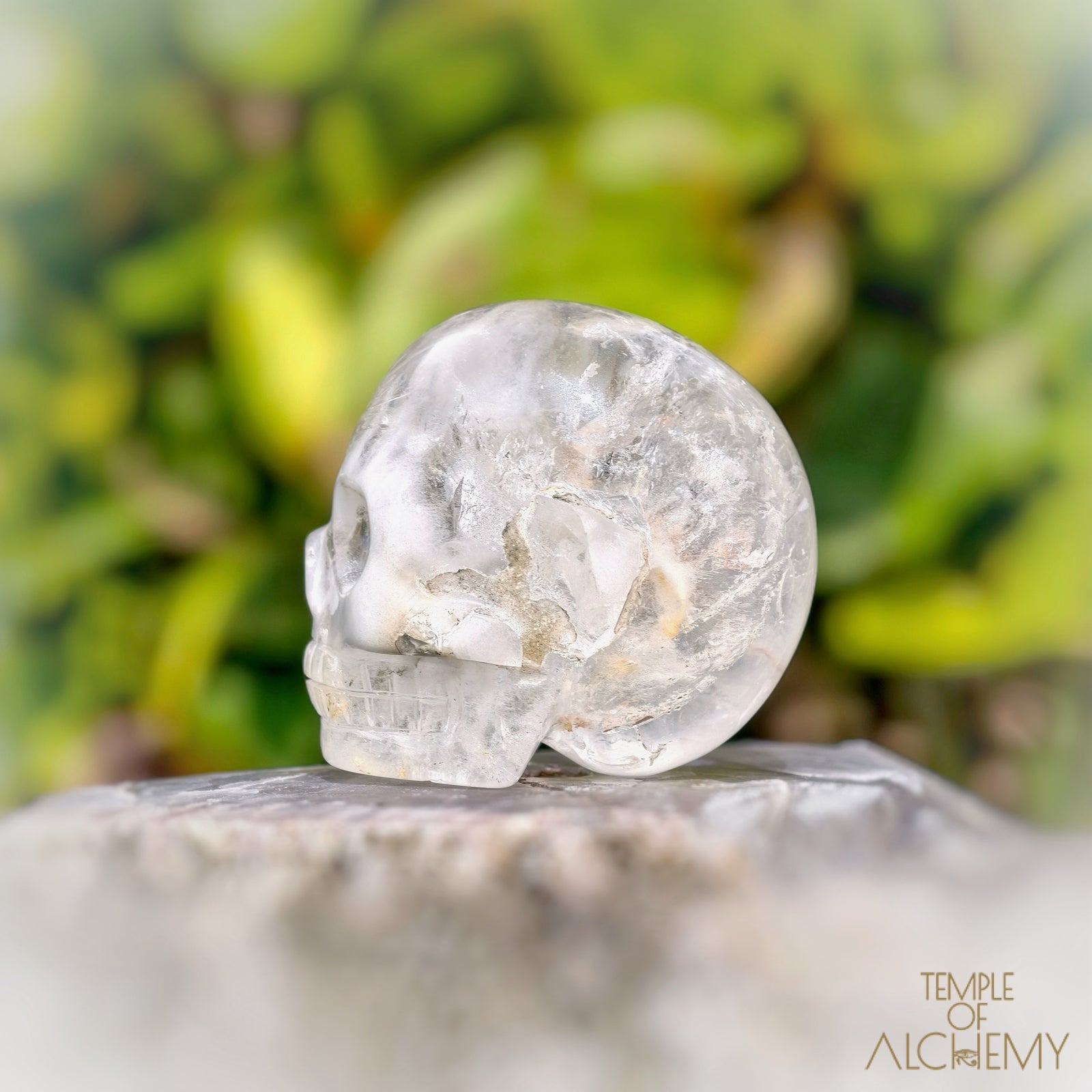 Amphibole Quartz