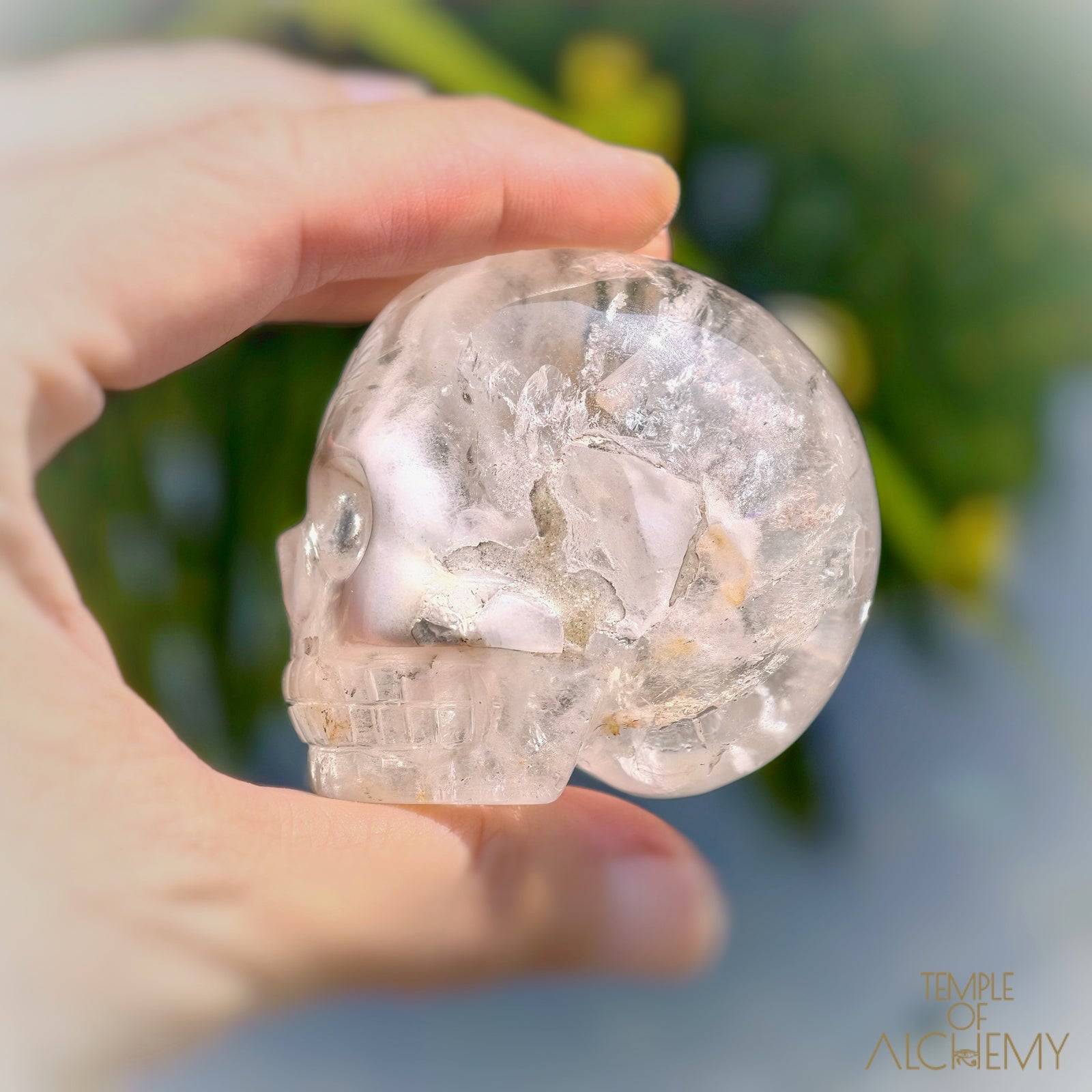 Amphibole Quartz