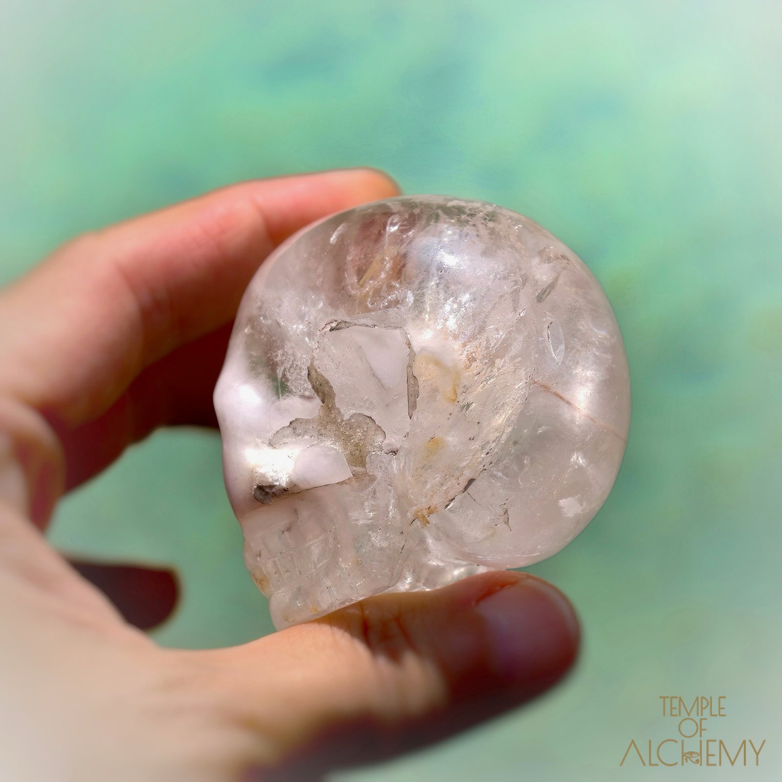 Amphibole Quartz