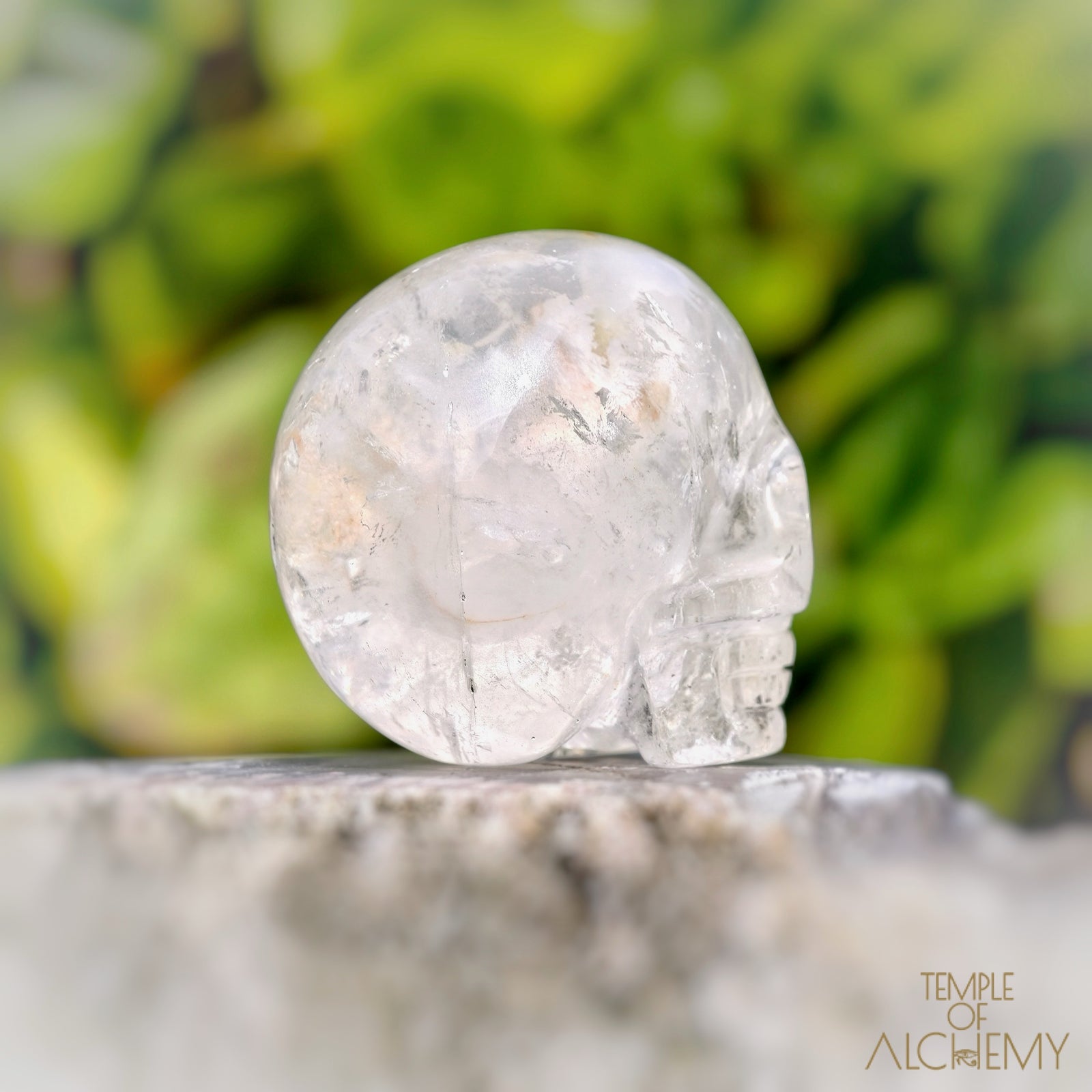Amphibole Quartz