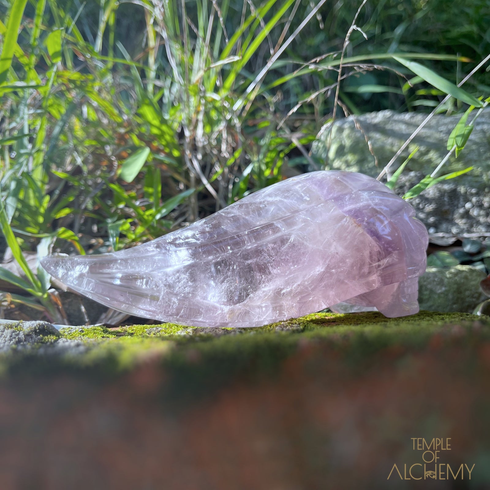 Phantom Amethyst