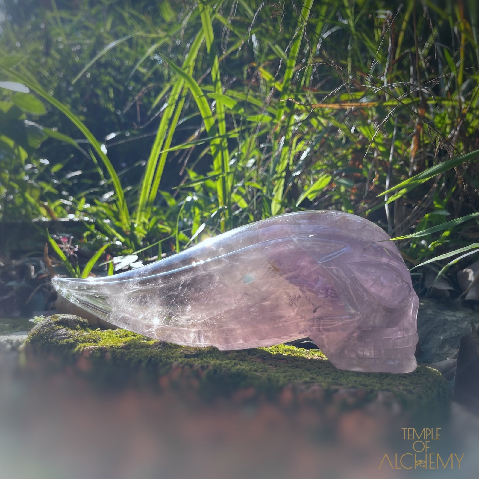 Phantom Amethyst