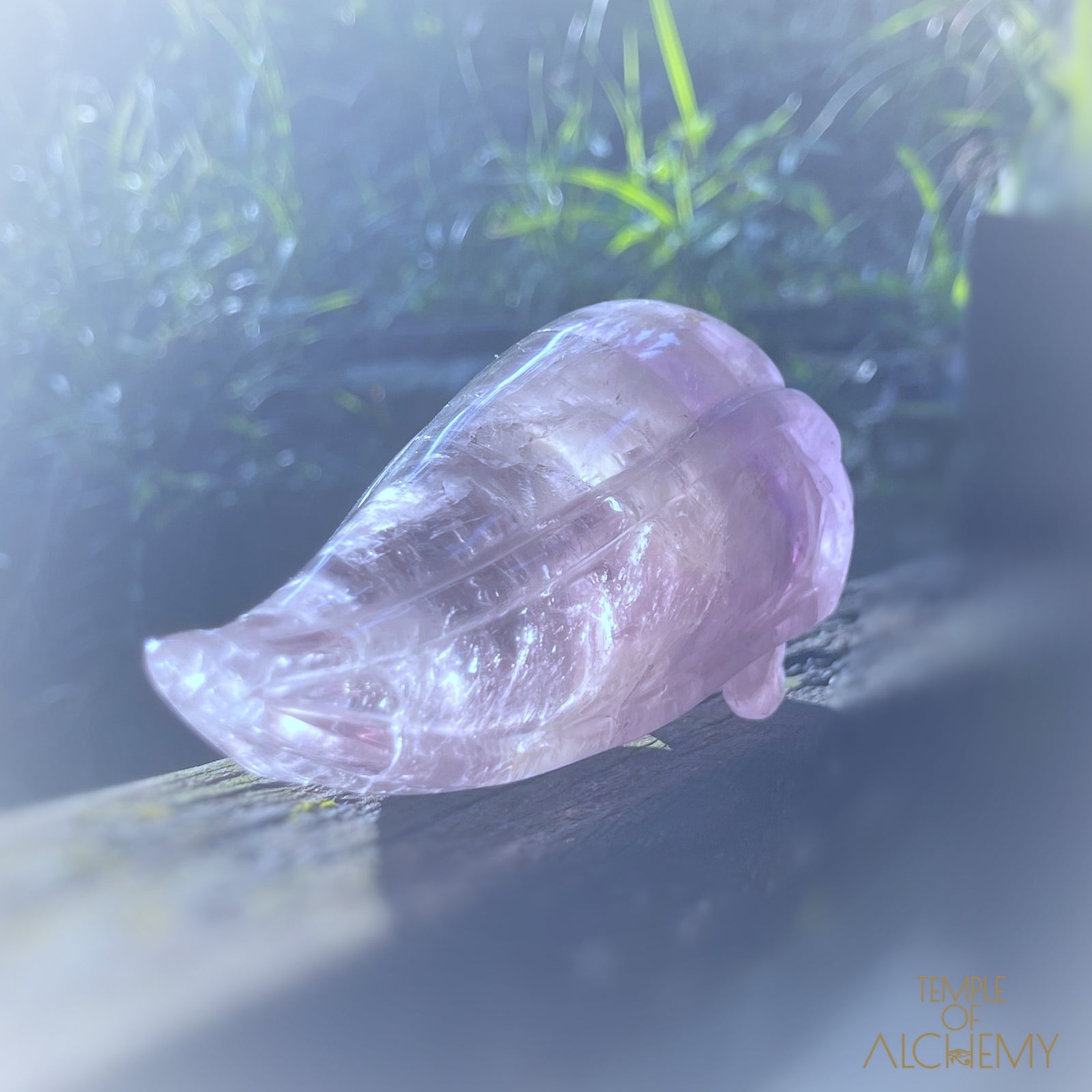 Phantom Amethyst