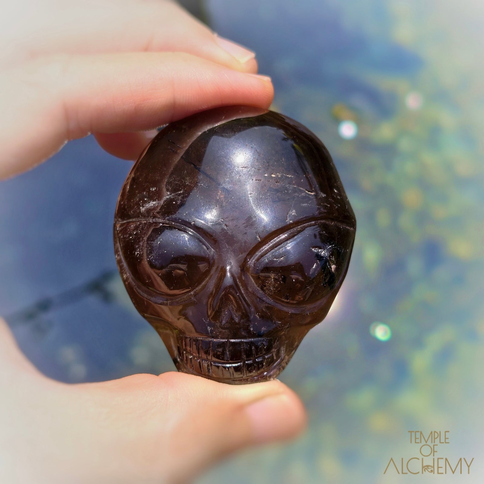 Smoky Quartz x Black Tourmaline