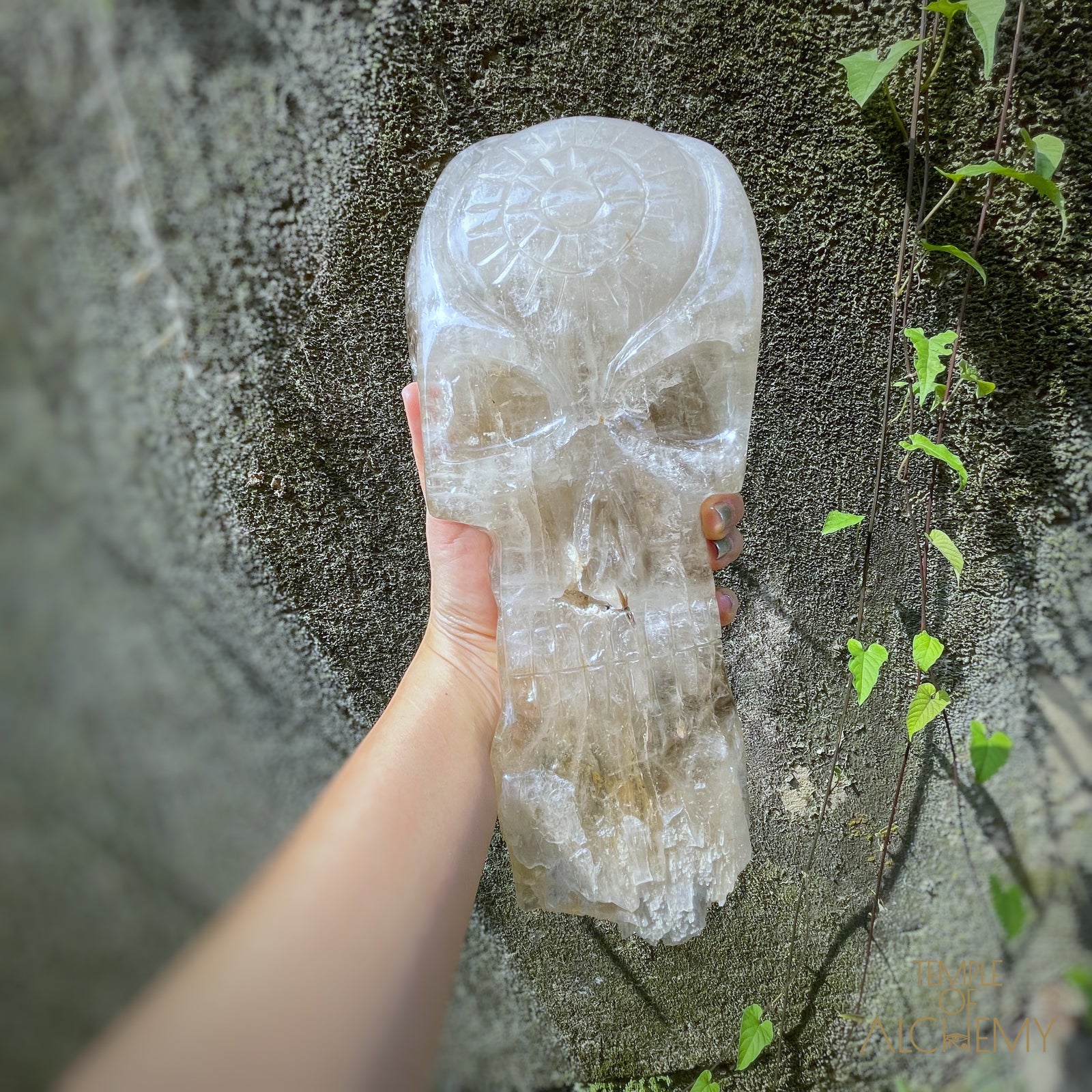 * Reserved A.B * Enhydro Shaman