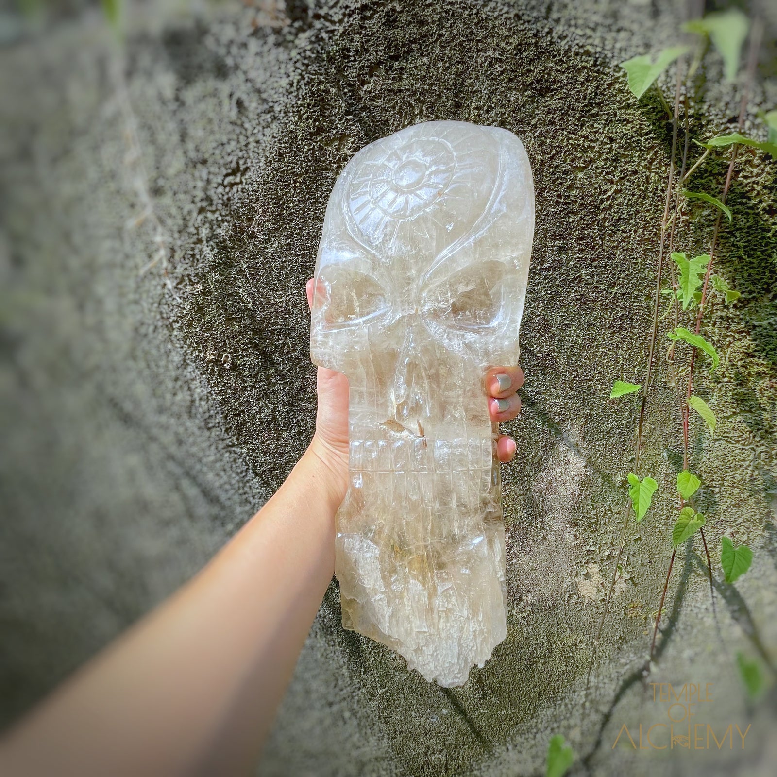 * Reserved A.B * Enhydro Shaman