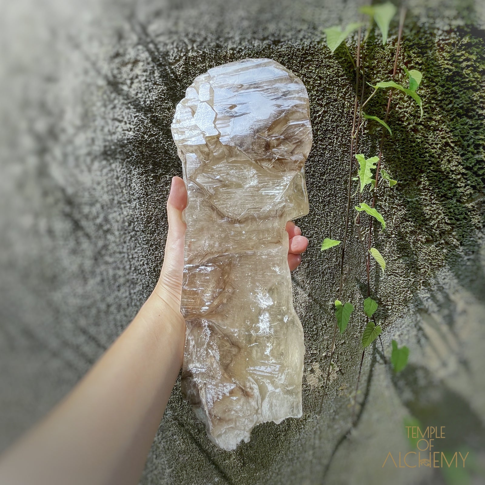 * Reserved A.B * Enhydro Shaman