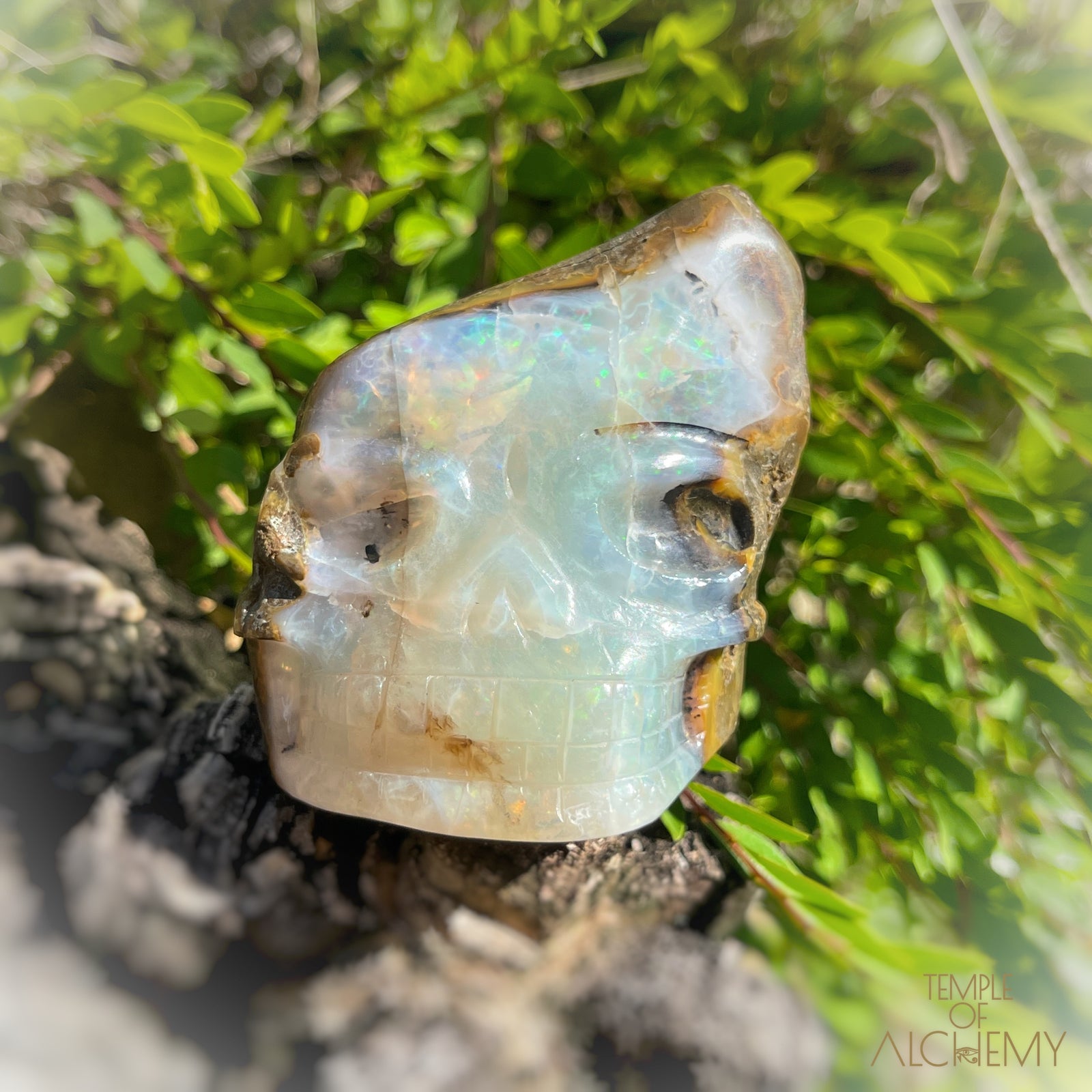 Ethiopian Opal š  XL Aurora Borealis Wand
