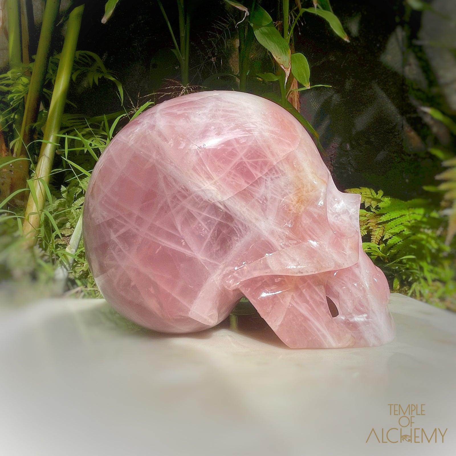 Star Rose Quartz