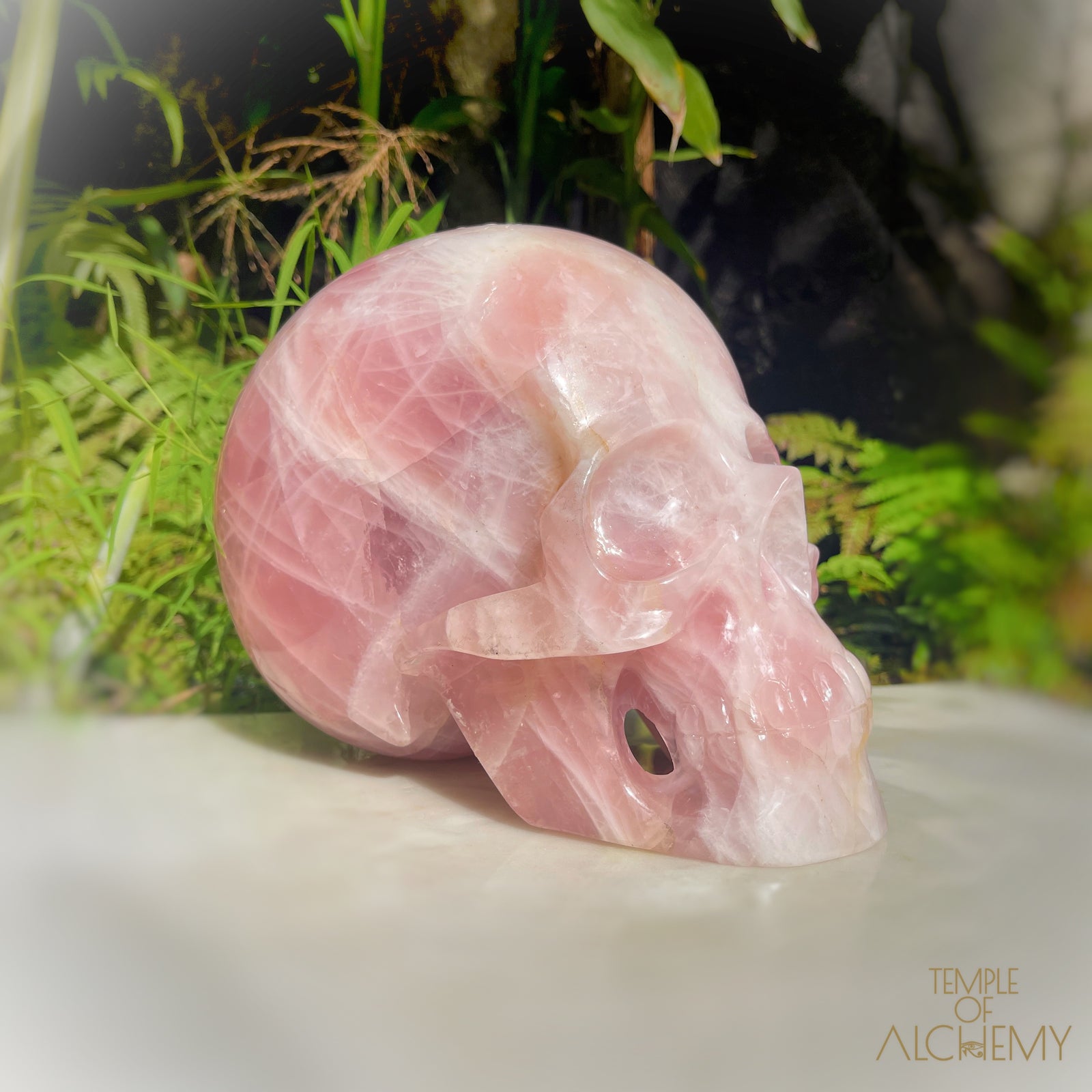 Star Rose Quartz