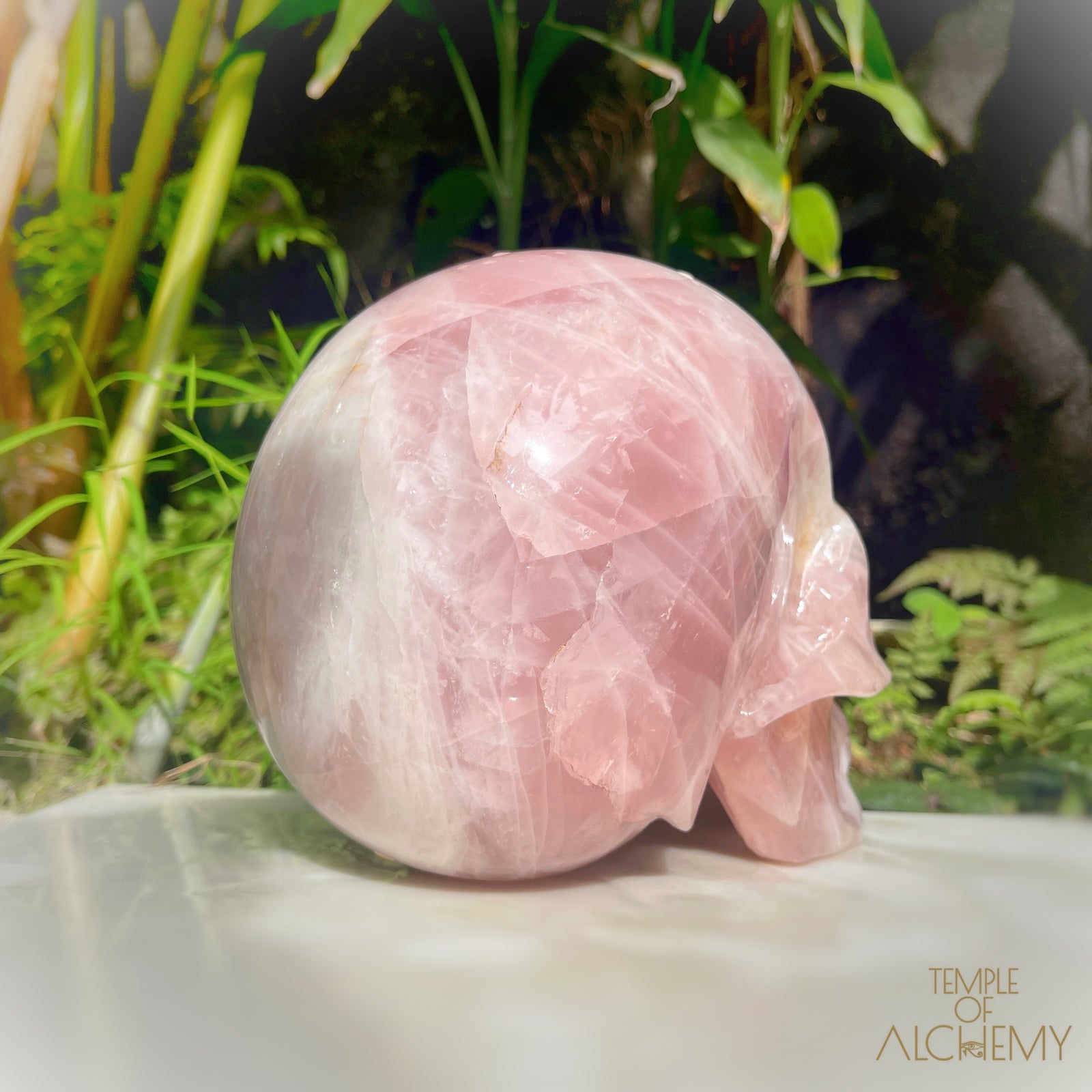 Star Rose Quartz