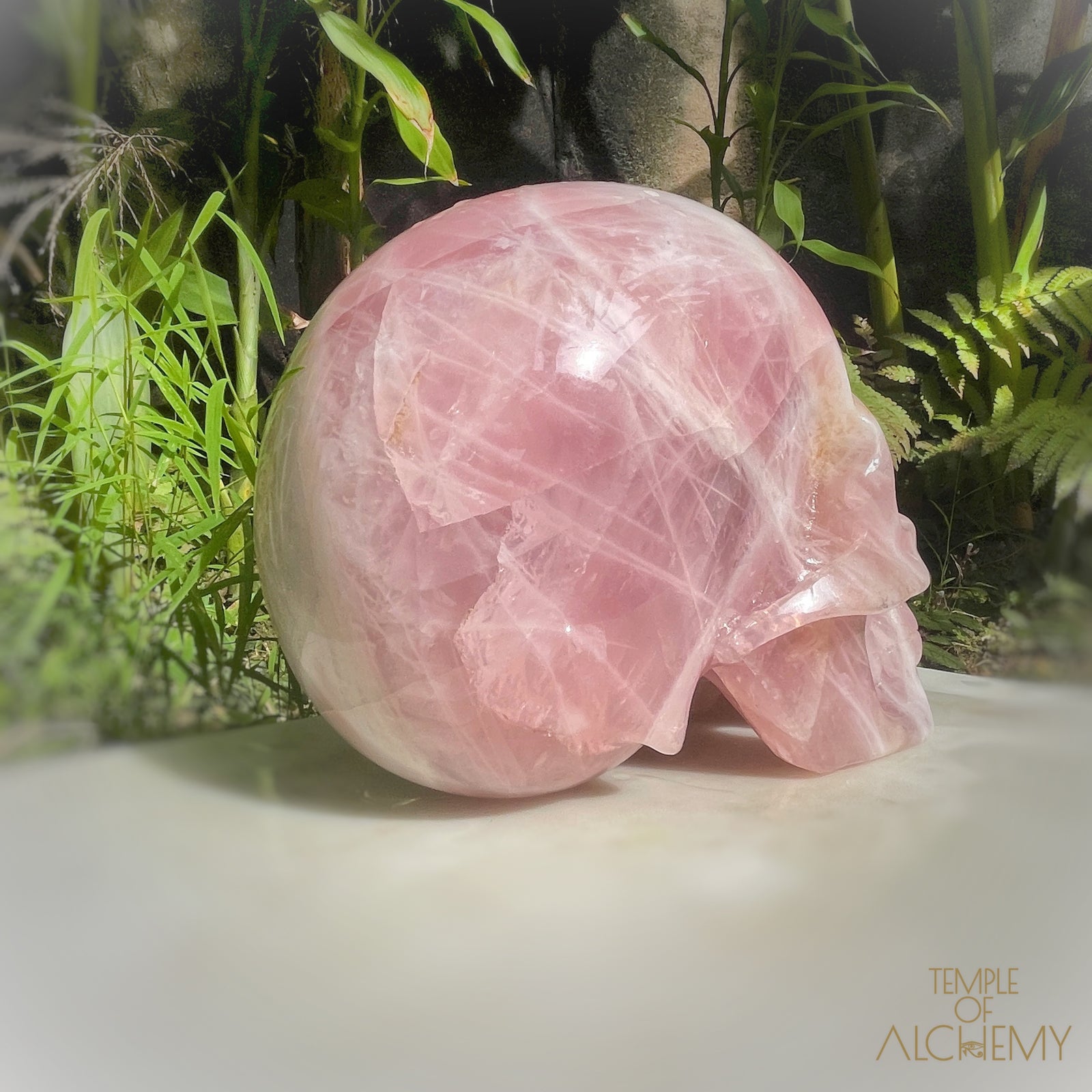Star Rose Quartz