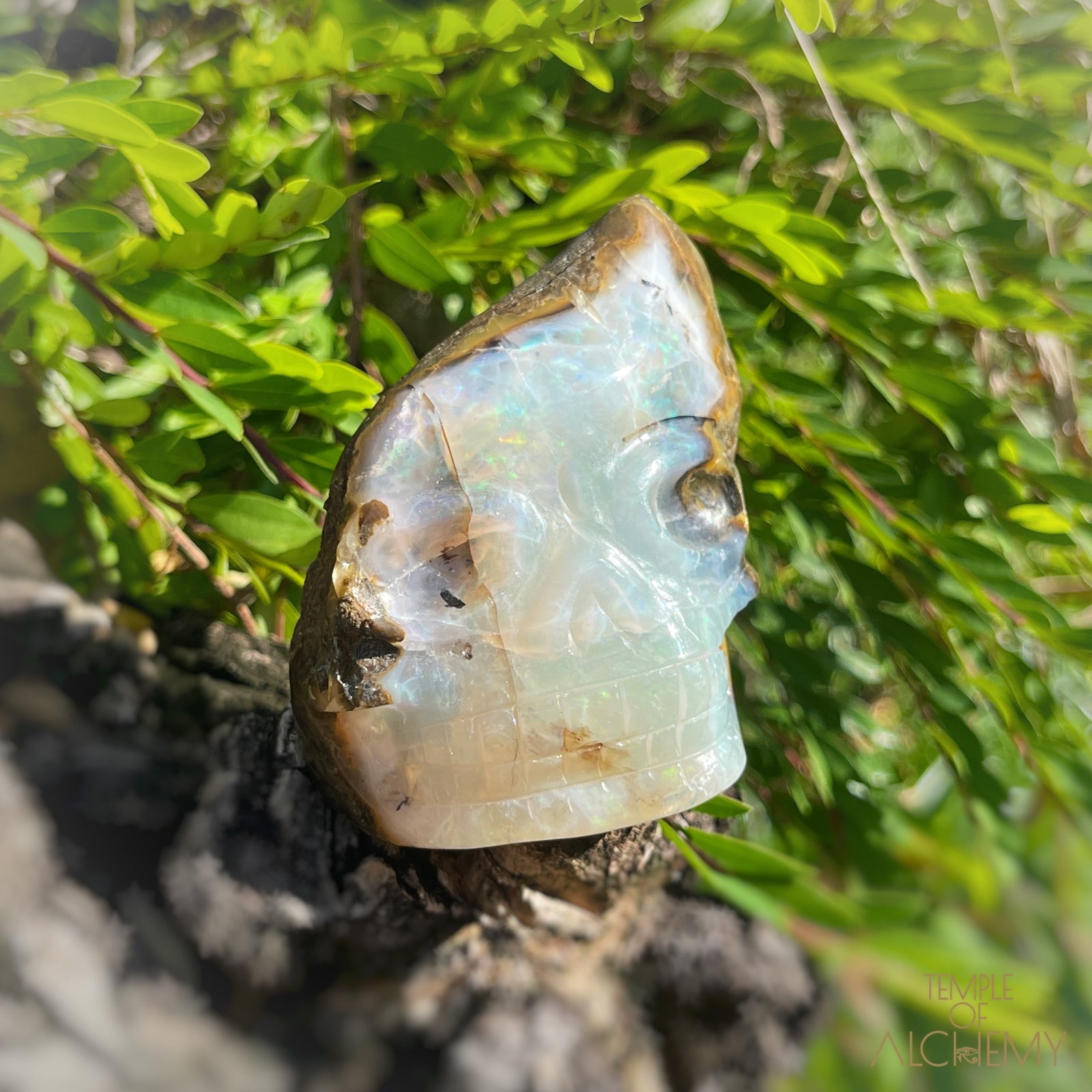 Ethiopian Opal š  XL Aurora Borealis Wand