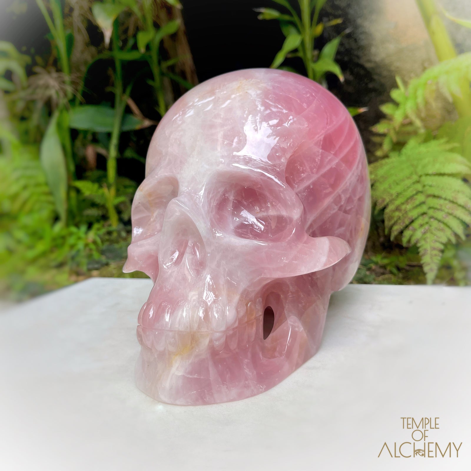 Star Rose Quartz