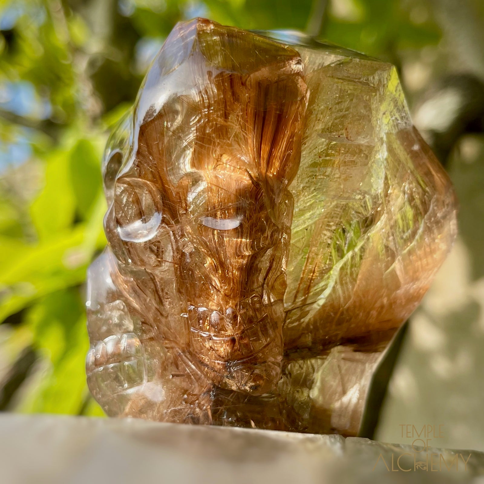 The Power of 2 Beings in 1 π Smoky Citrine x Golden-Copper Rutiles