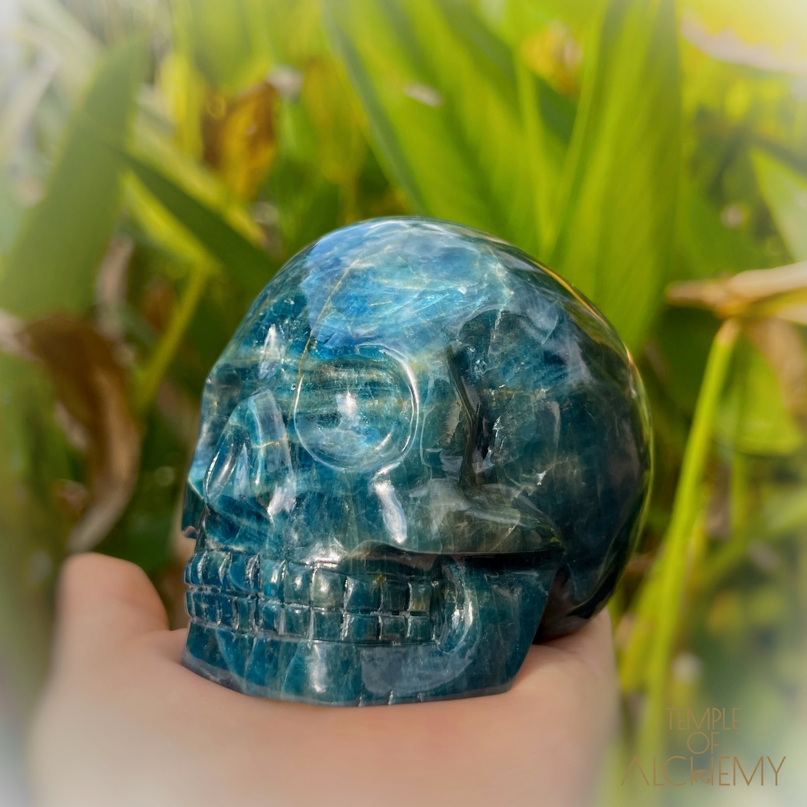 Cat's Eye Apatite Blue Apatite
