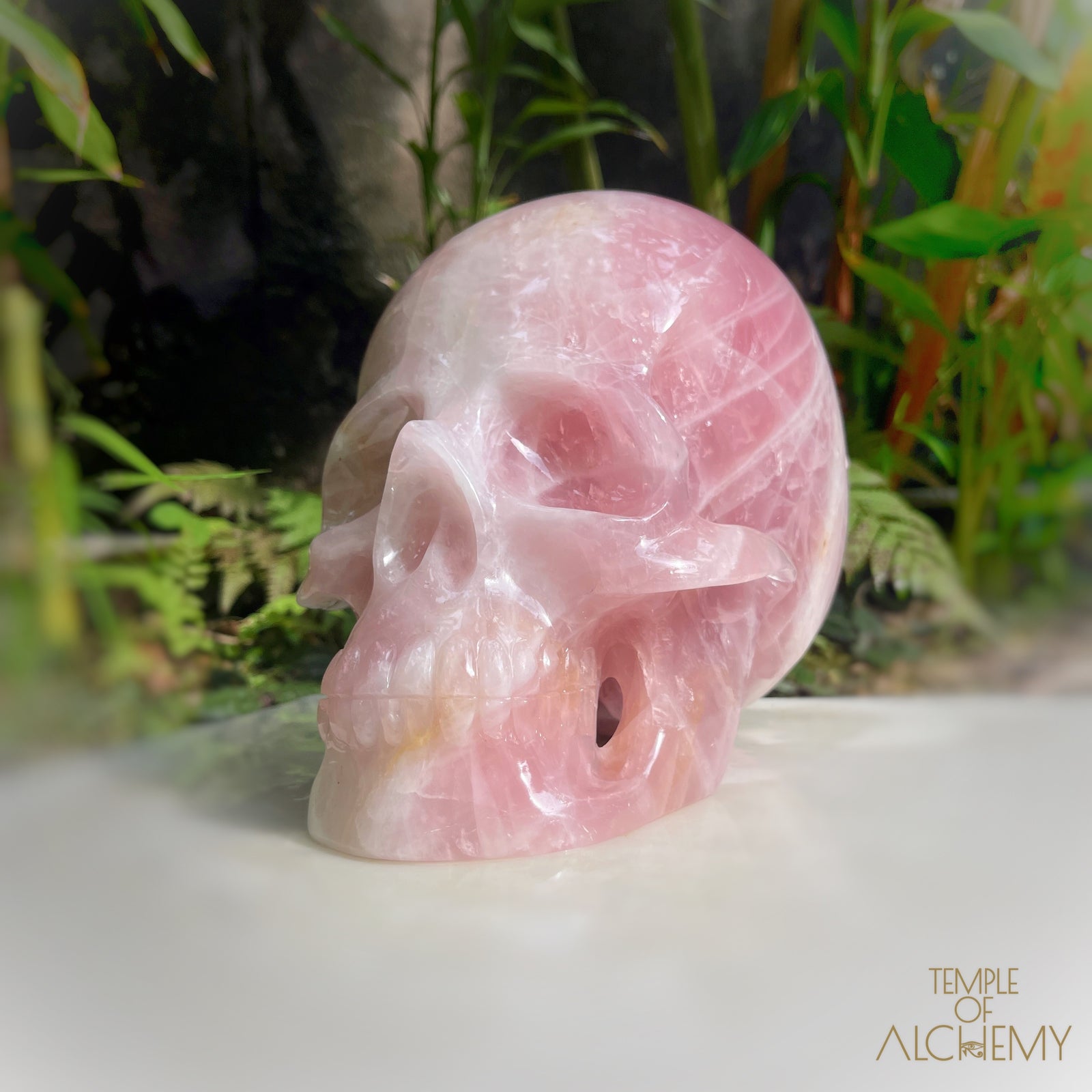 Star Rose Quartz