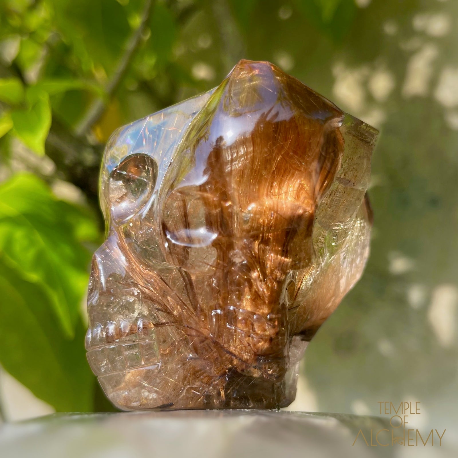 The Power of 2 Beings in 1 π Smoky Citrine x Golden-Copper Rutiles