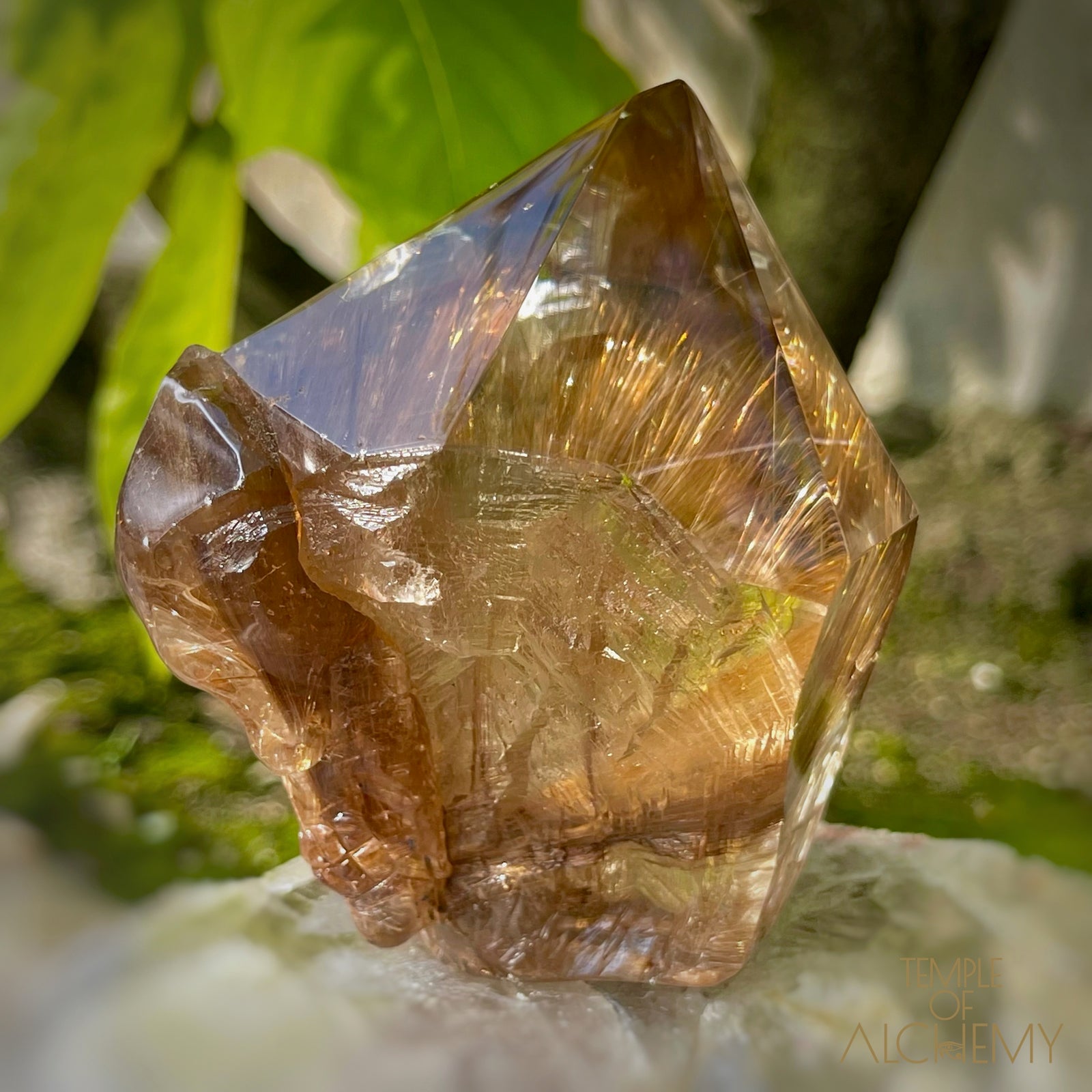 The Power of 2 Beings in 1 π Smoky Citrine x Golden-Copper Rutiles