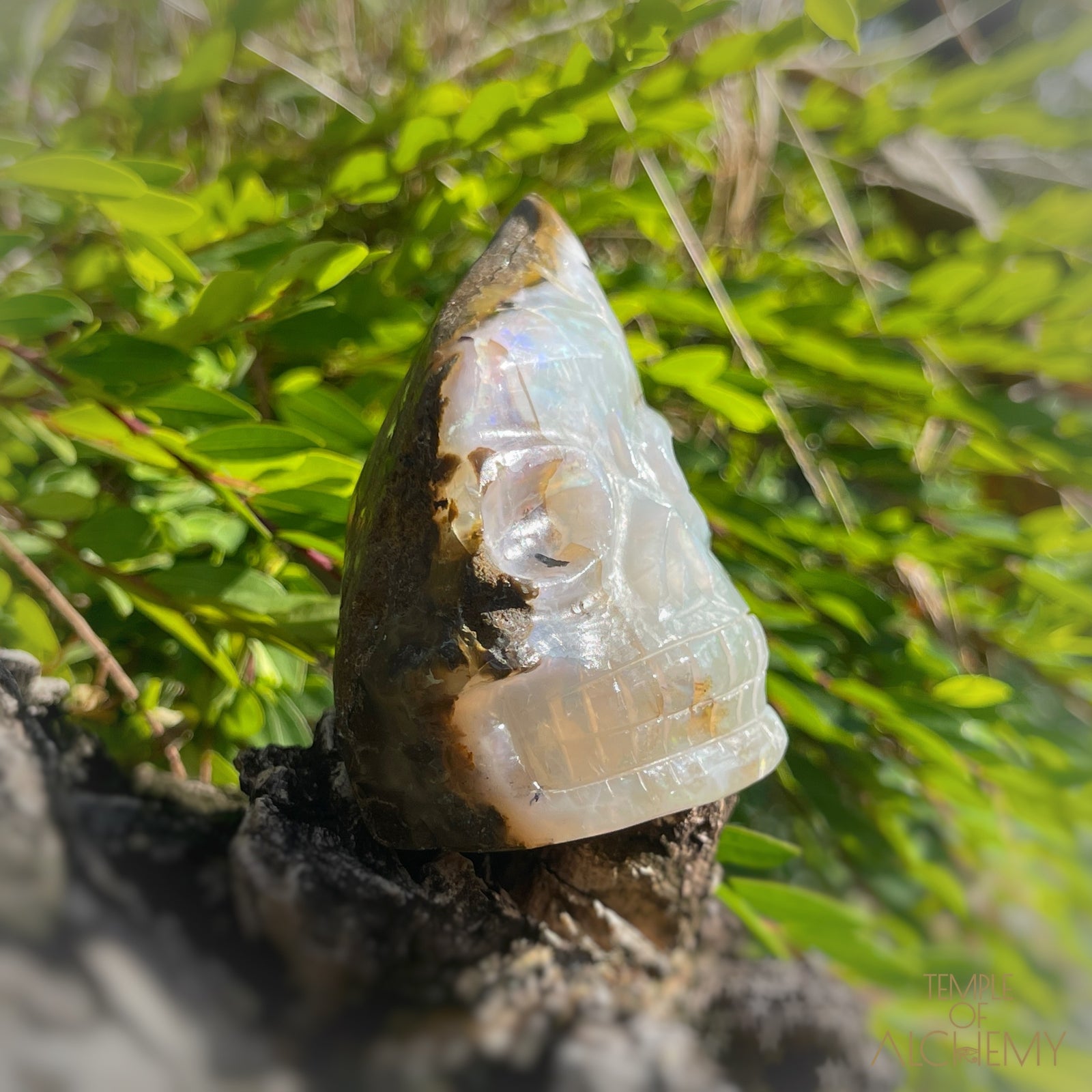 Ethiopian Opal š  XL Aurora Borealis Wand