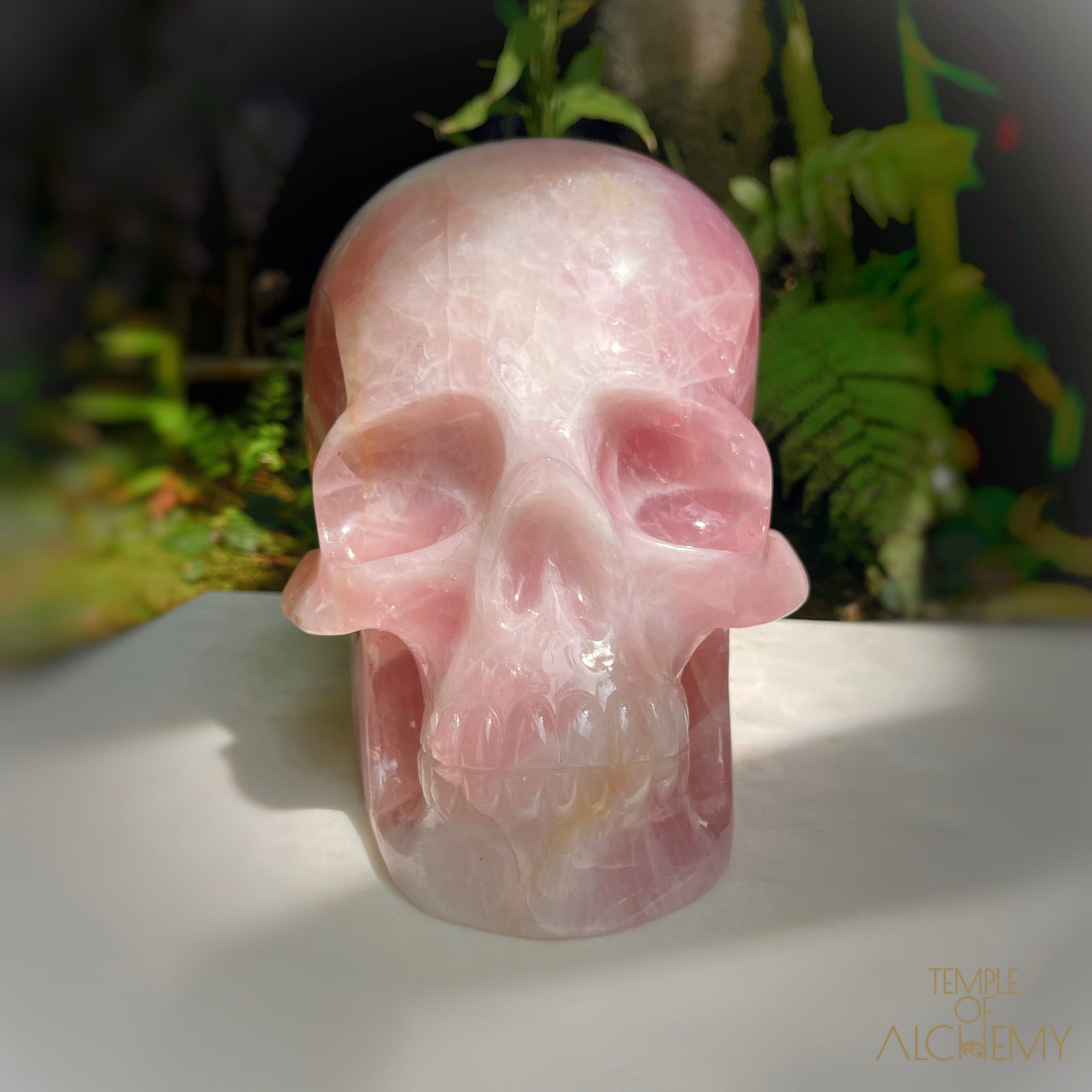 Star Rose Quartz