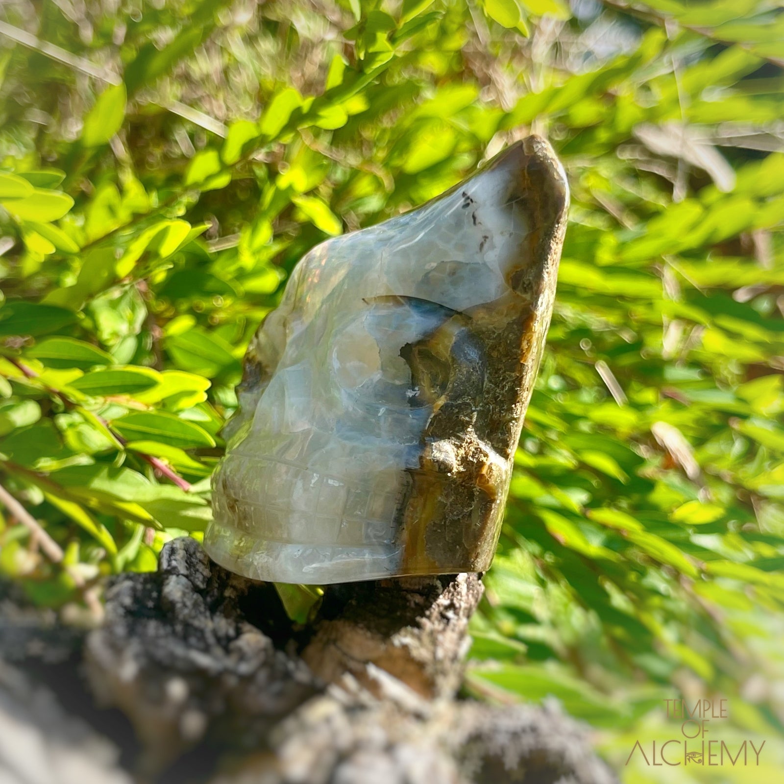 Ethiopian Opal š  XL Aurora Borealis Wand