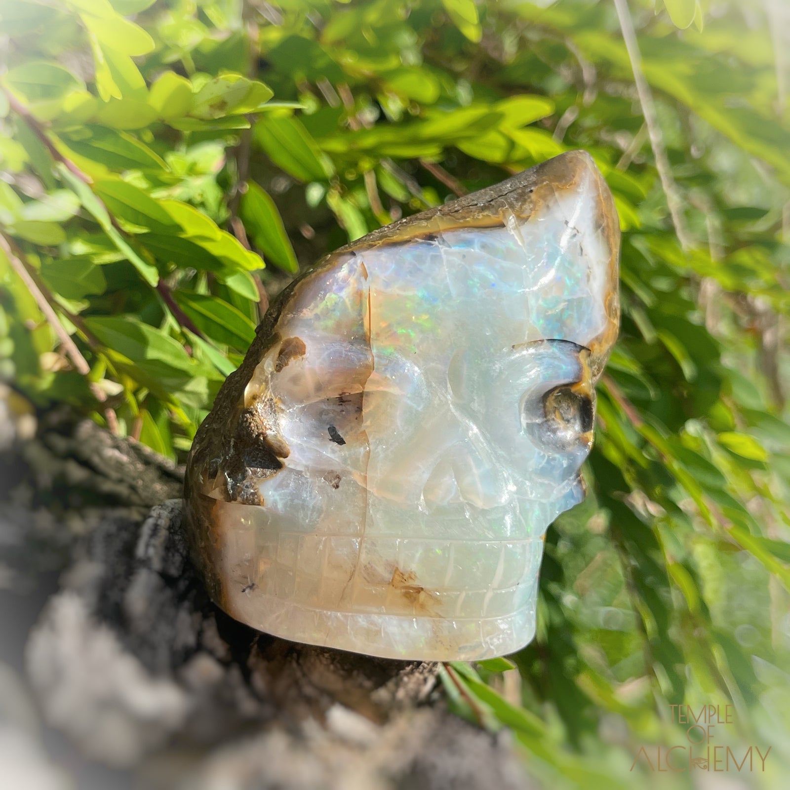 Ethiopian Opal š  XL Aurora Borealis Wand