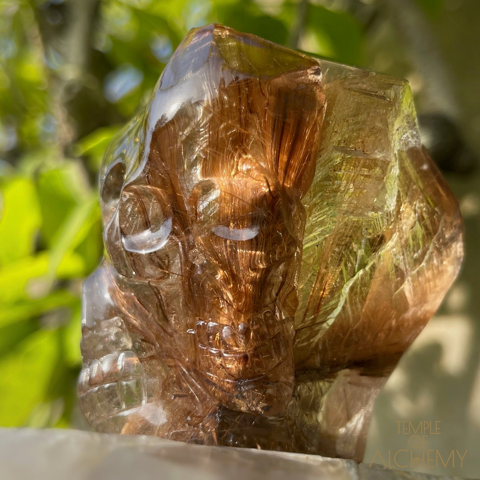 The Power of 2 Beings in 1 π Smoky Citrine x Golden-Copper Rutiles