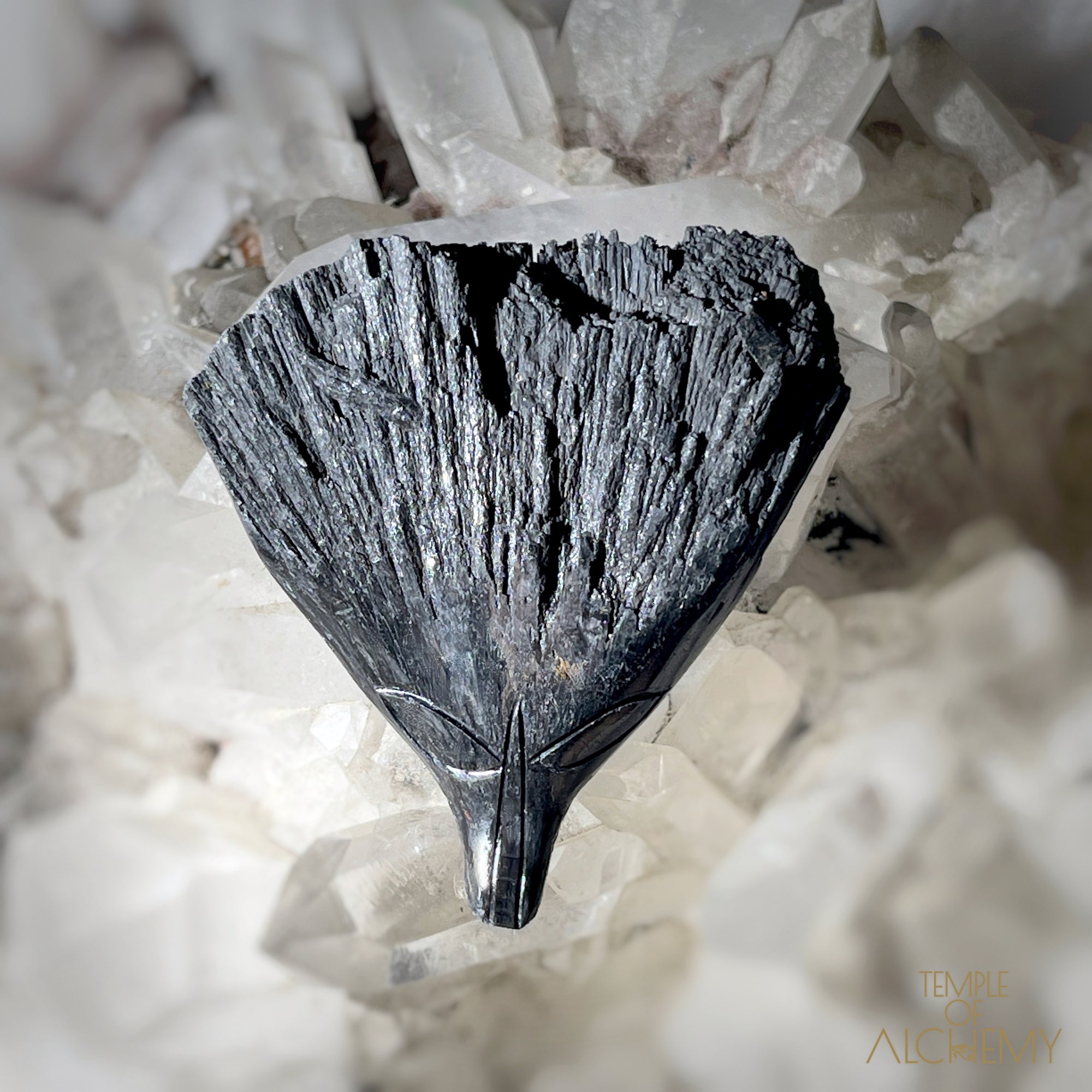 * Reserved S.A * Black Kyanite