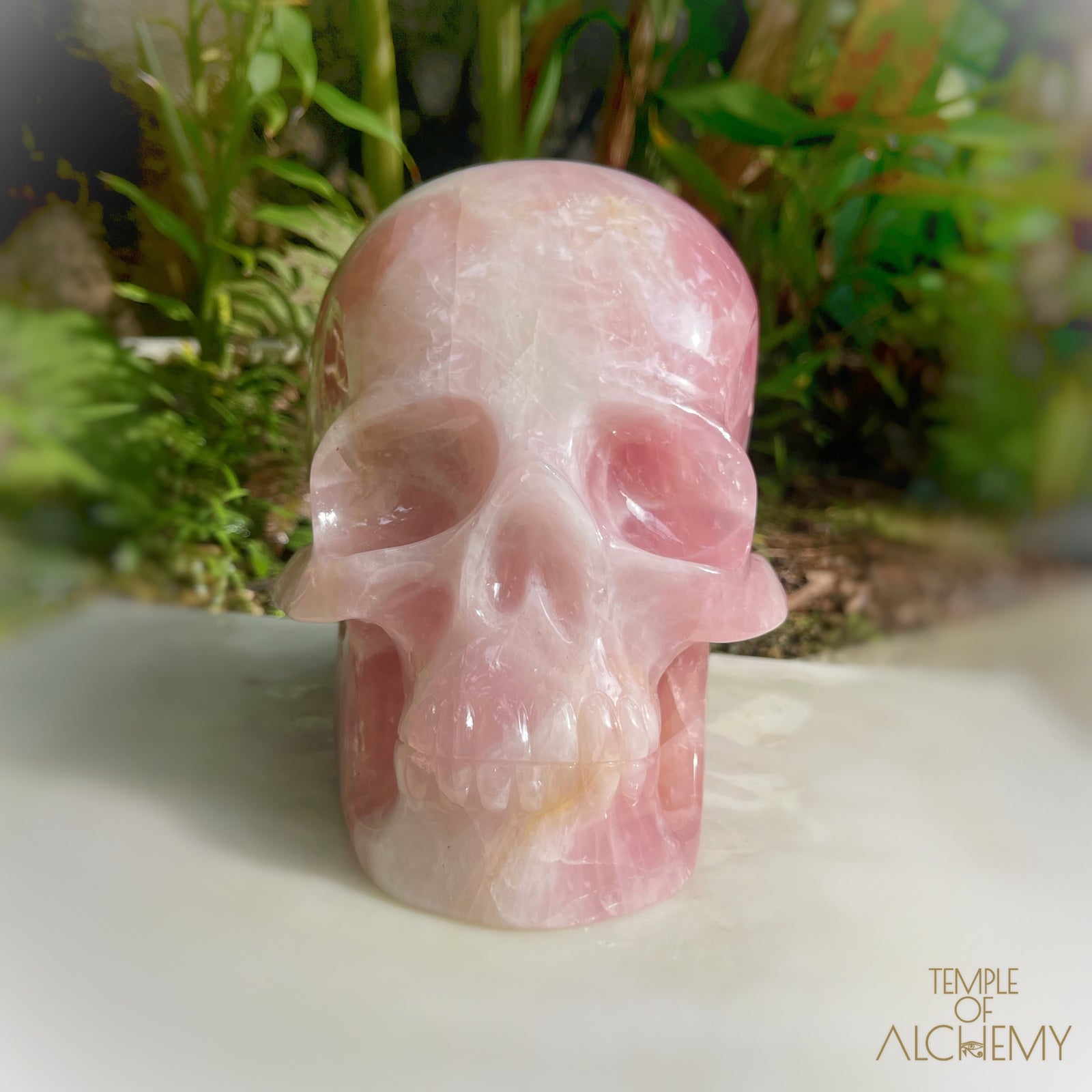 Star Rose Quartz