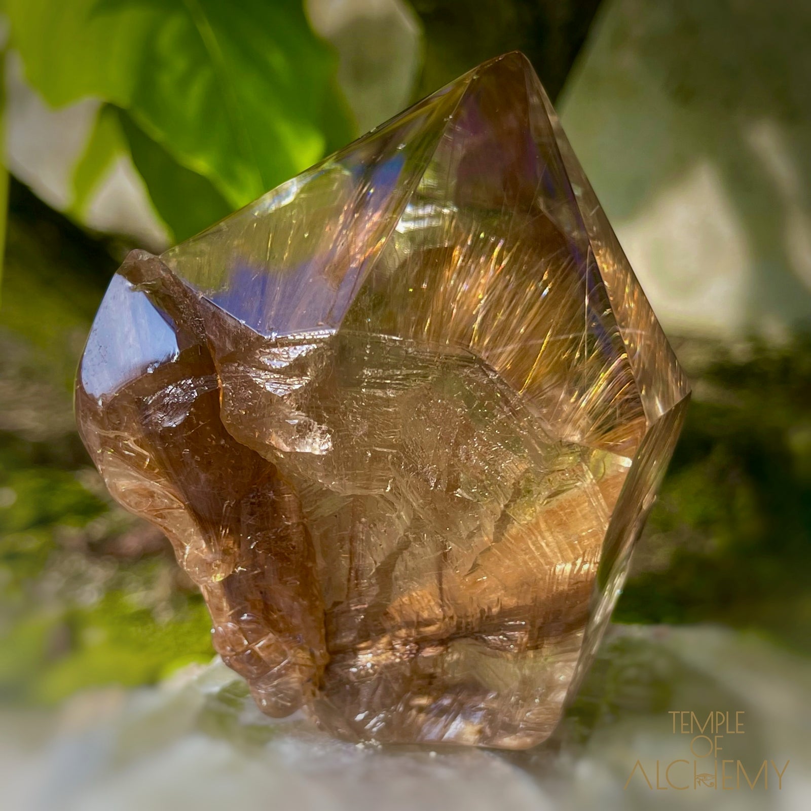 The Power of 2 Beings in 1 π Smoky Citrine x Golden-Copper Rutiles