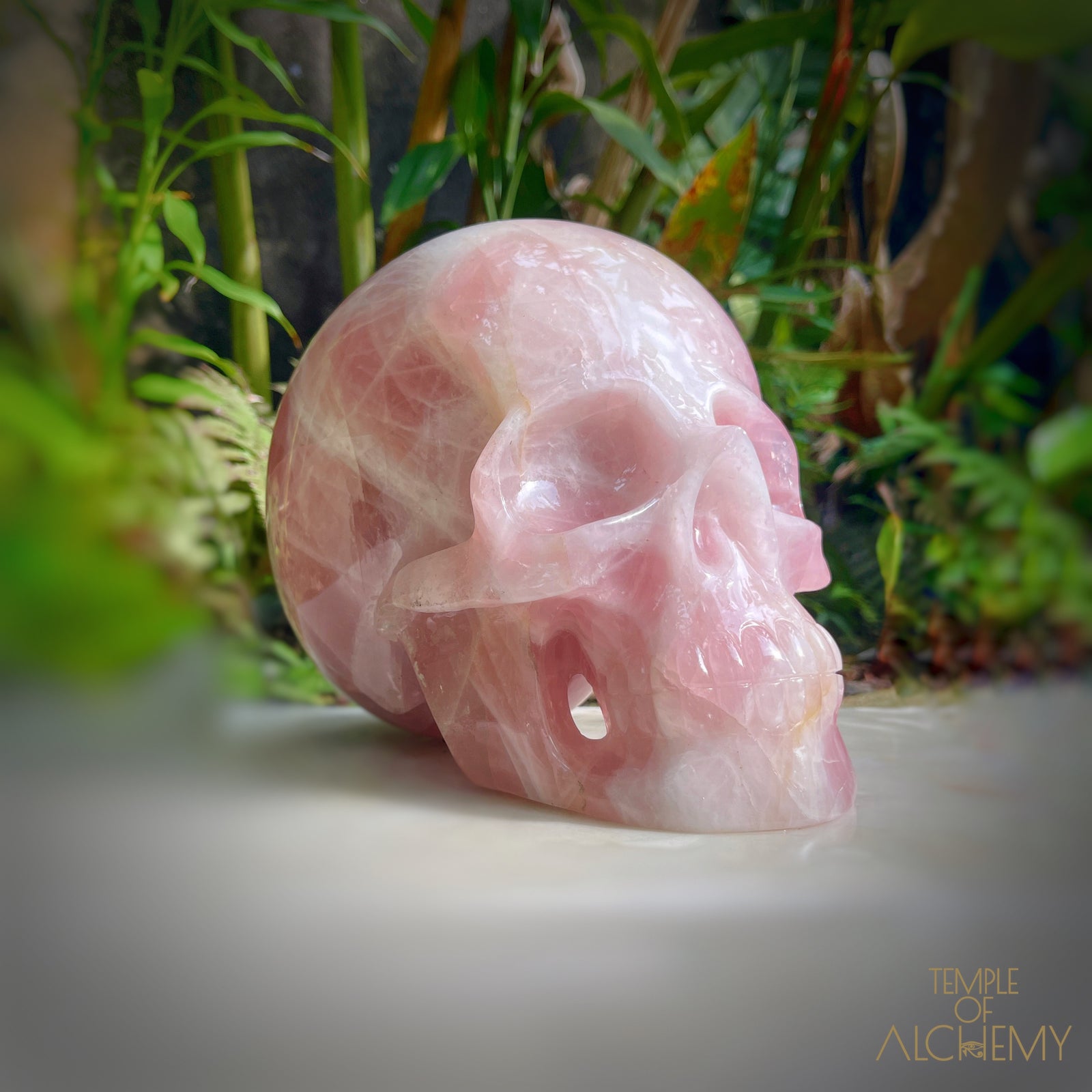 Star Rose Quartz