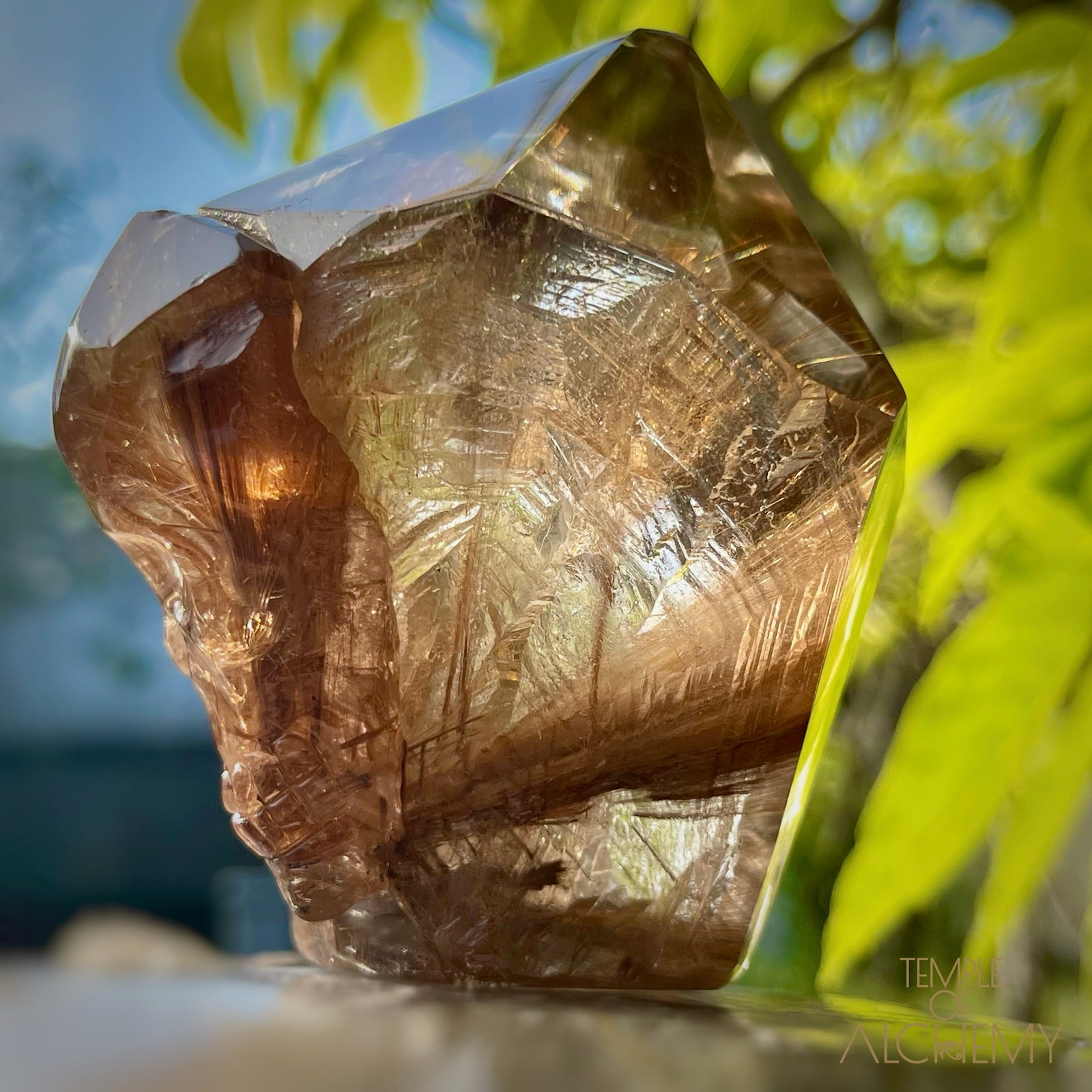 The Power of 2 Beings in 1 π Smoky Citrine x Golden-Copper Rutiles
